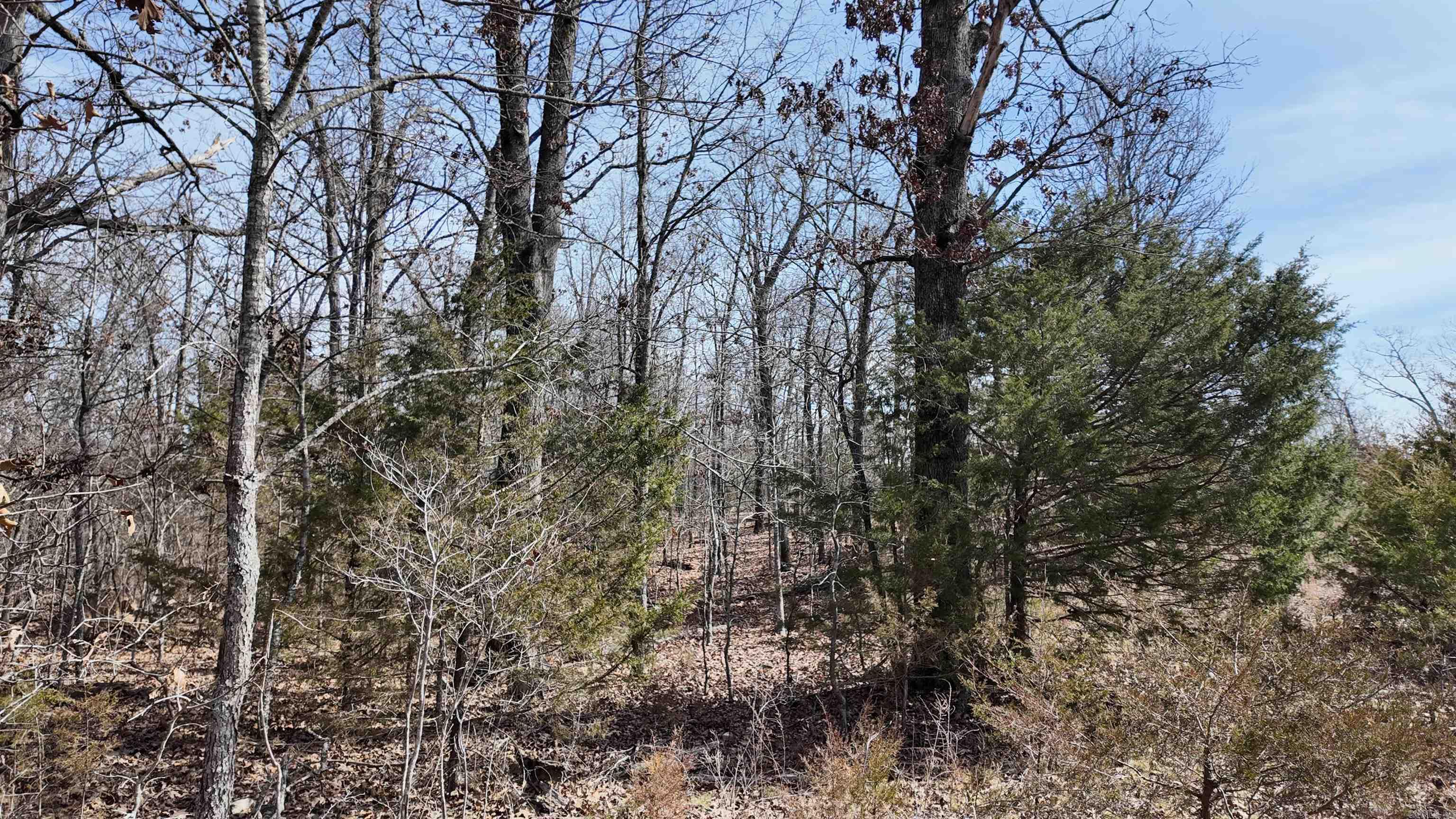 000  Gala Lane 001-09611-000 Peel, AR