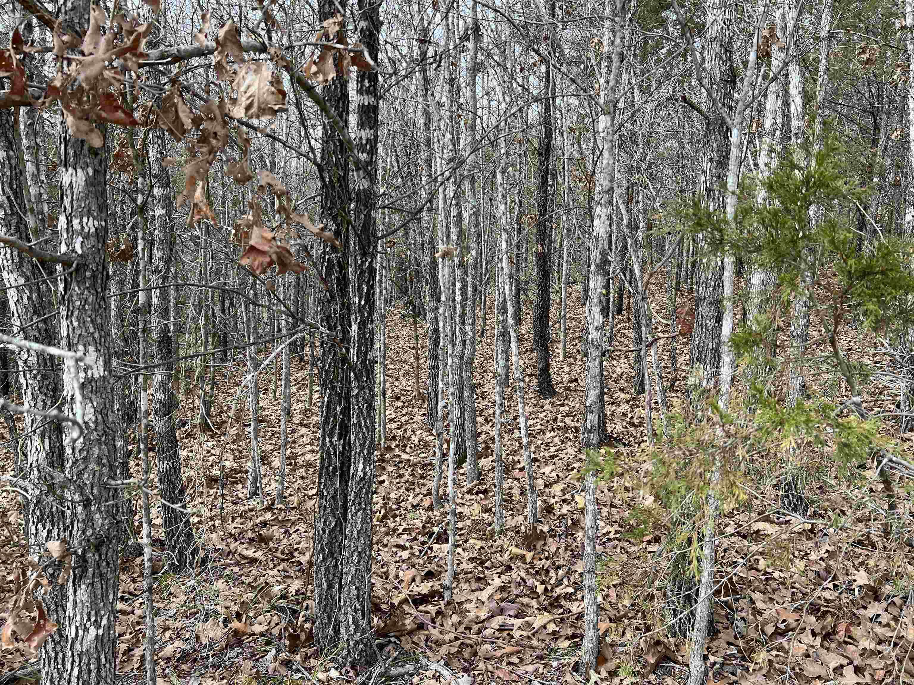 000  Gala Lane 001-09611-000 Peel, AR