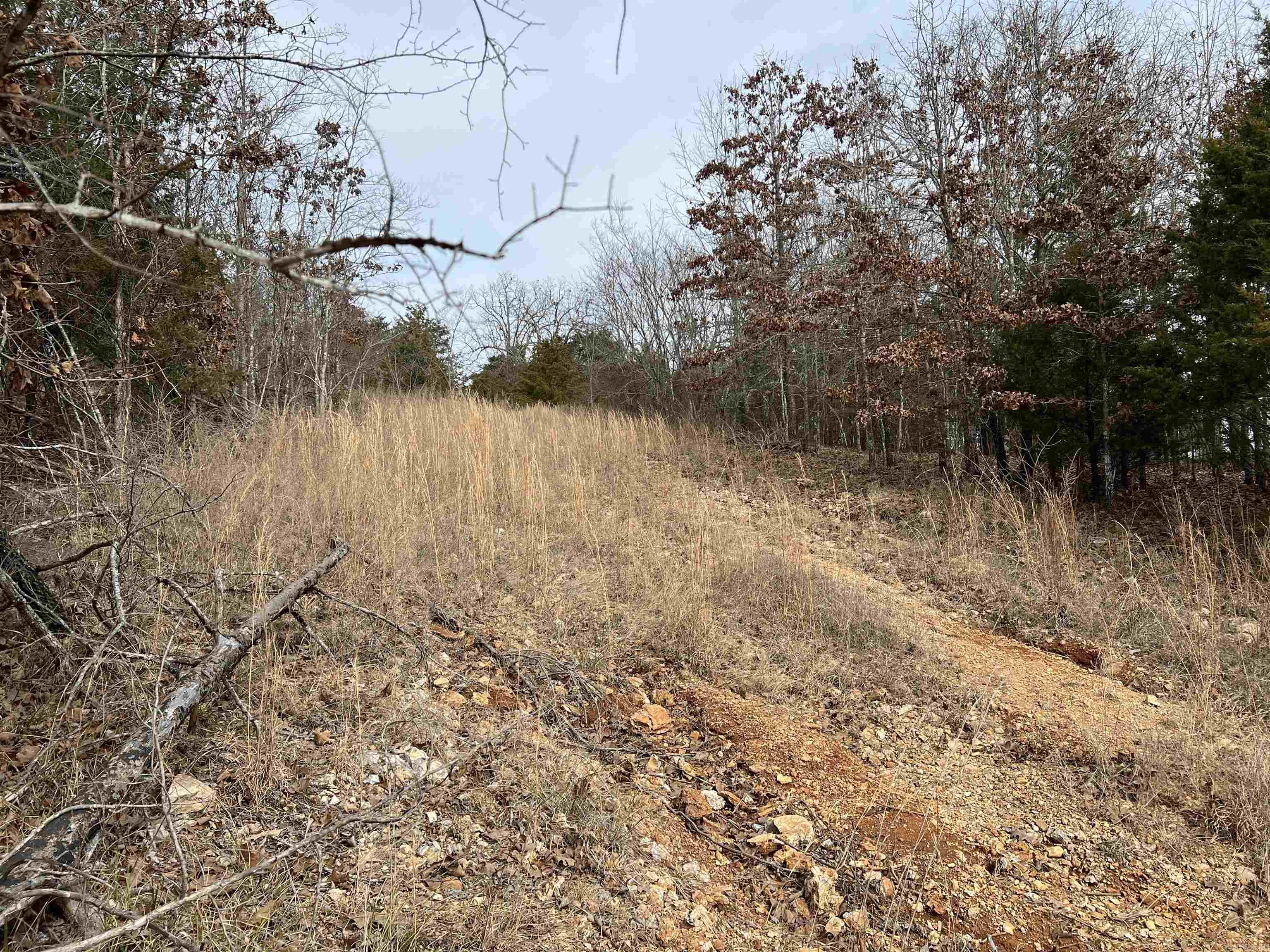 000  Gala Lane 001-09611-000 Peel, AR