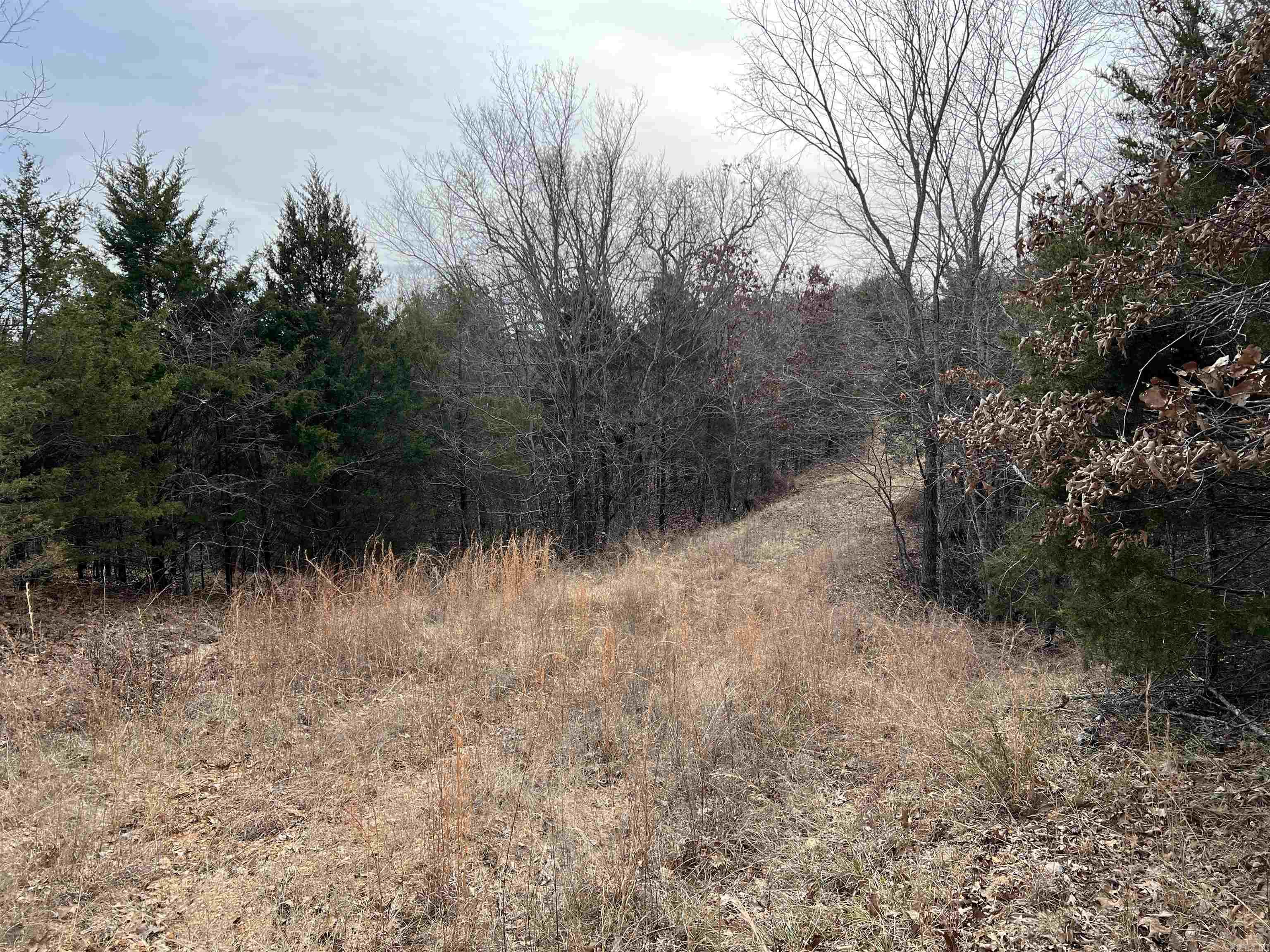 000  Gala Lane 001-09611-000 Peel, AR