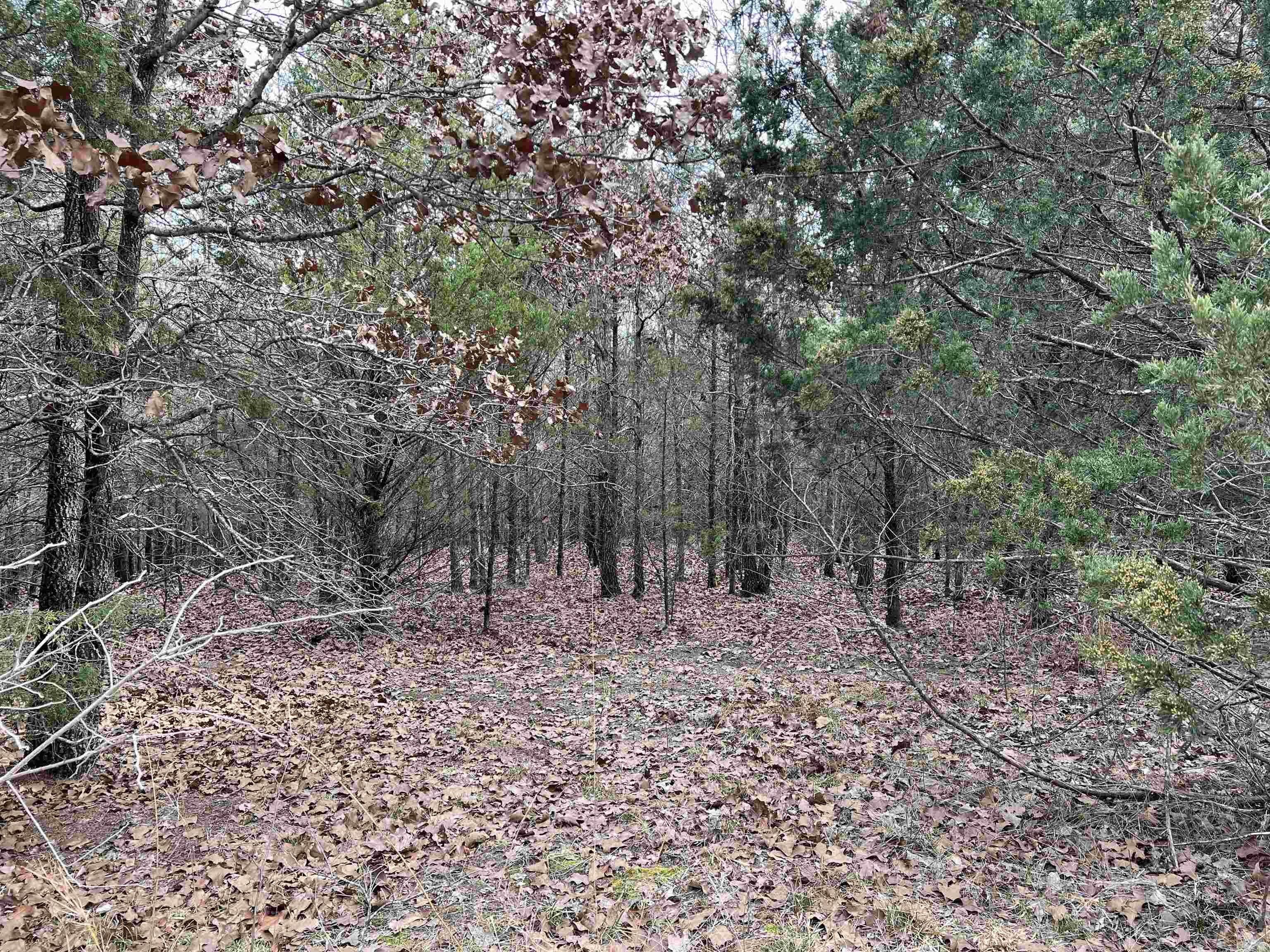 000  Gala Lane 001-09611-000 Peel, AR