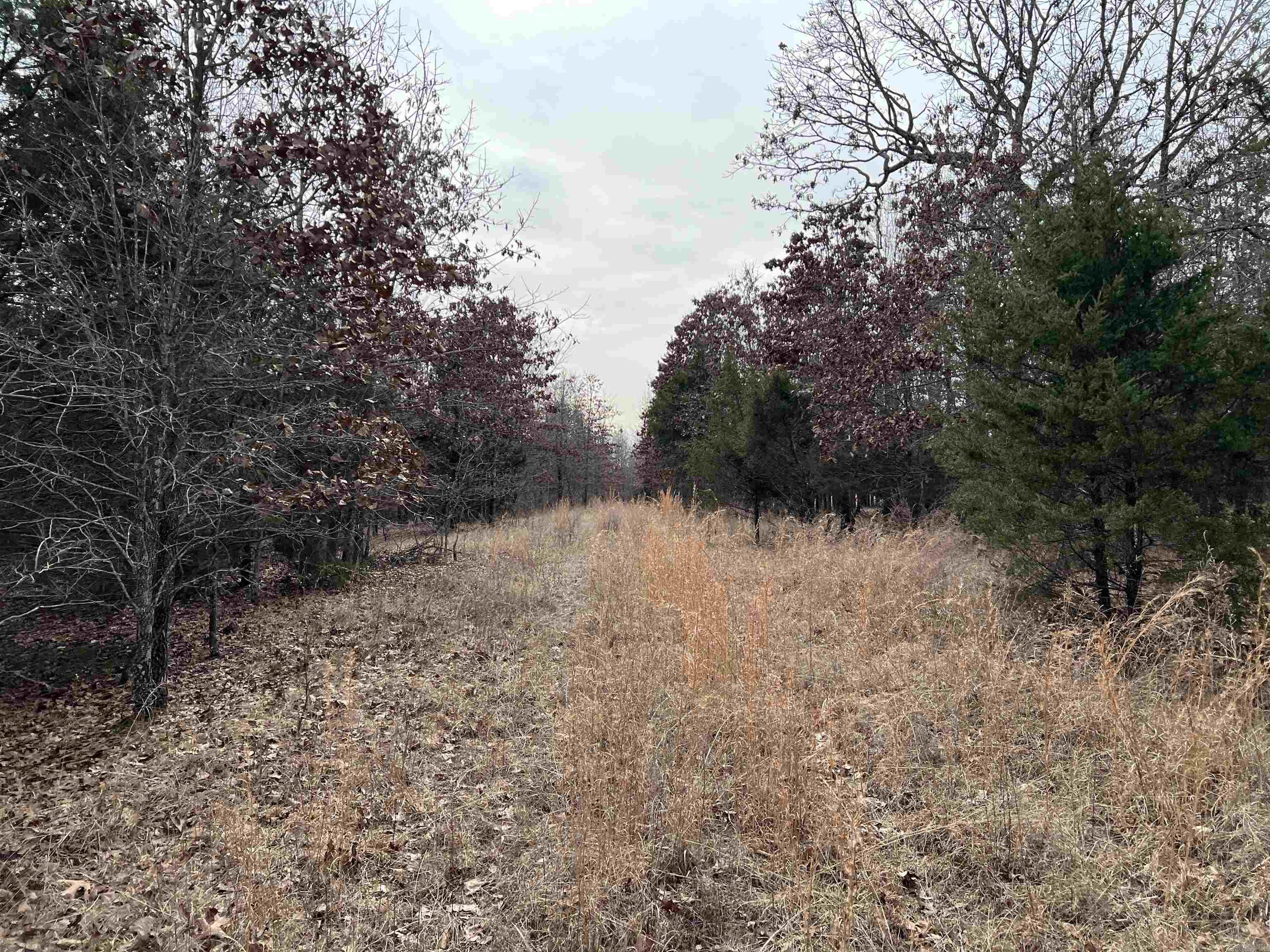 000  Gala Lane 001-09611-000 Peel, AR