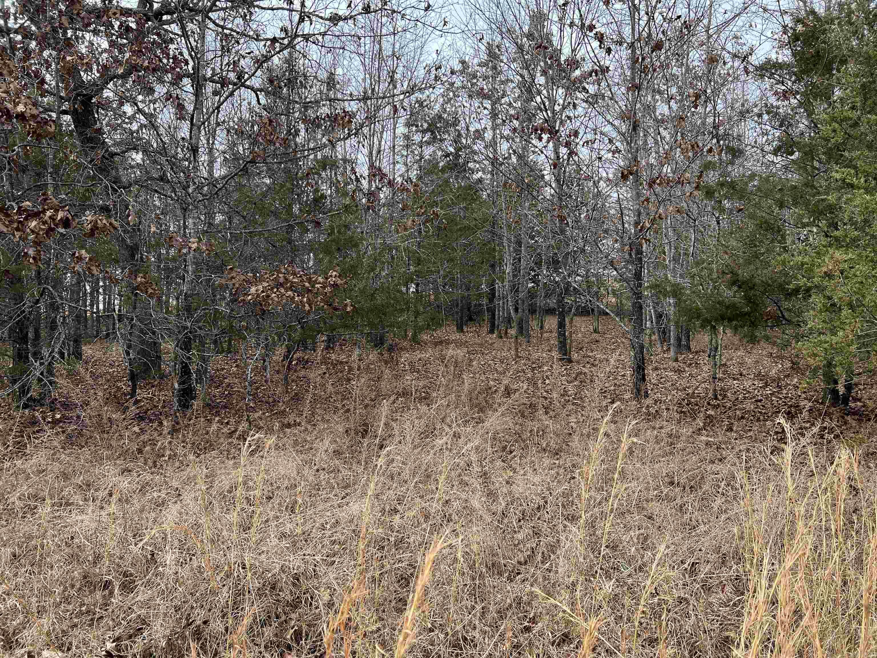 000  Gala Lane 001-09611-000 Peel, AR