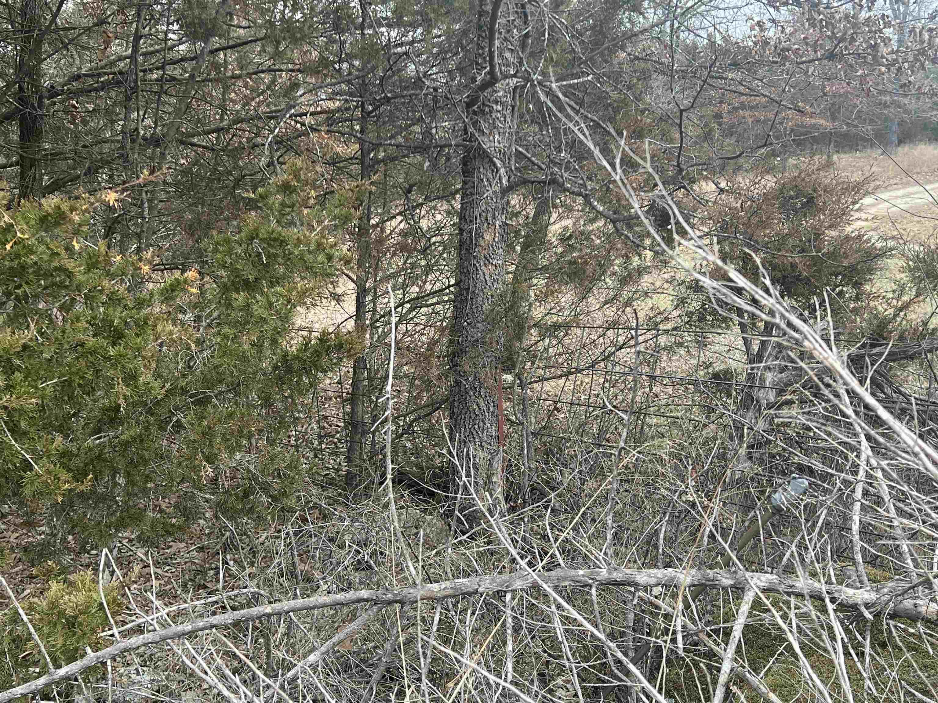 000  Gala Lane 001-09611-000 Peel, AR