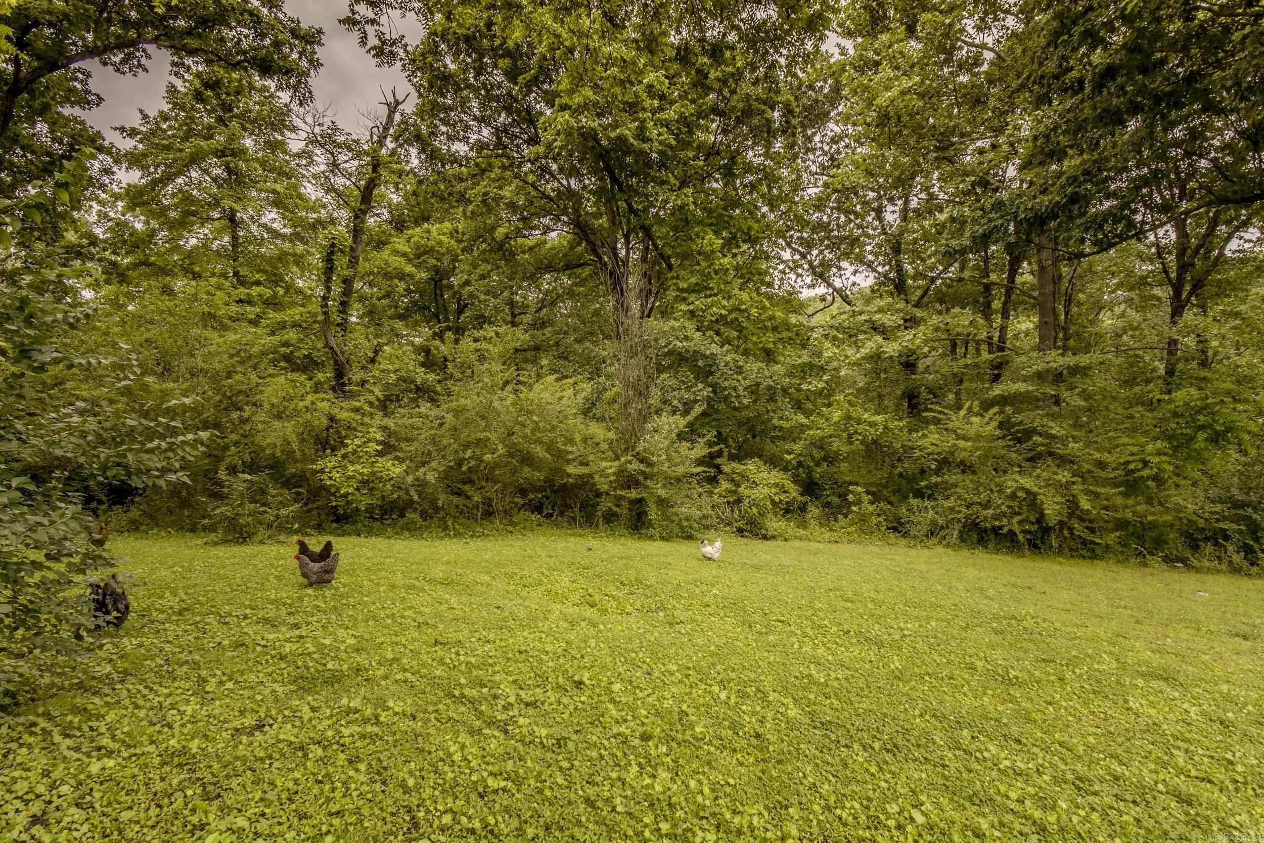 380  CR 458  Mountain Home, AR