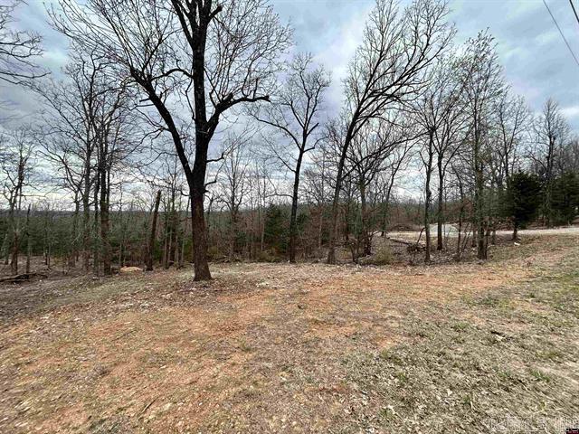 703  CR 19  Mountain Home, AR