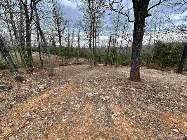 703  CR 19  Mountain Home, AR