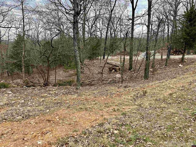 703  CR 19  Mountain Home, AR