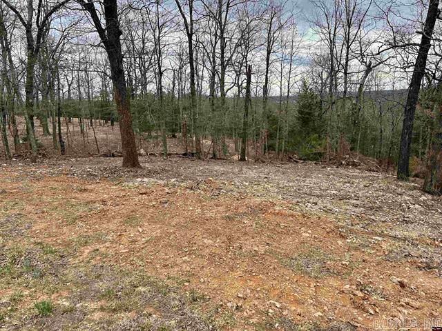 703  CR 19  Mountain Home, AR
