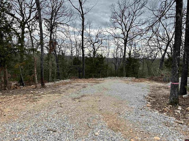 703  CR 19  Mountain Home, AR