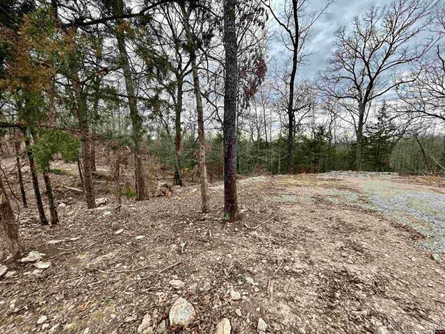 703  CR 19  Mountain Home, AR