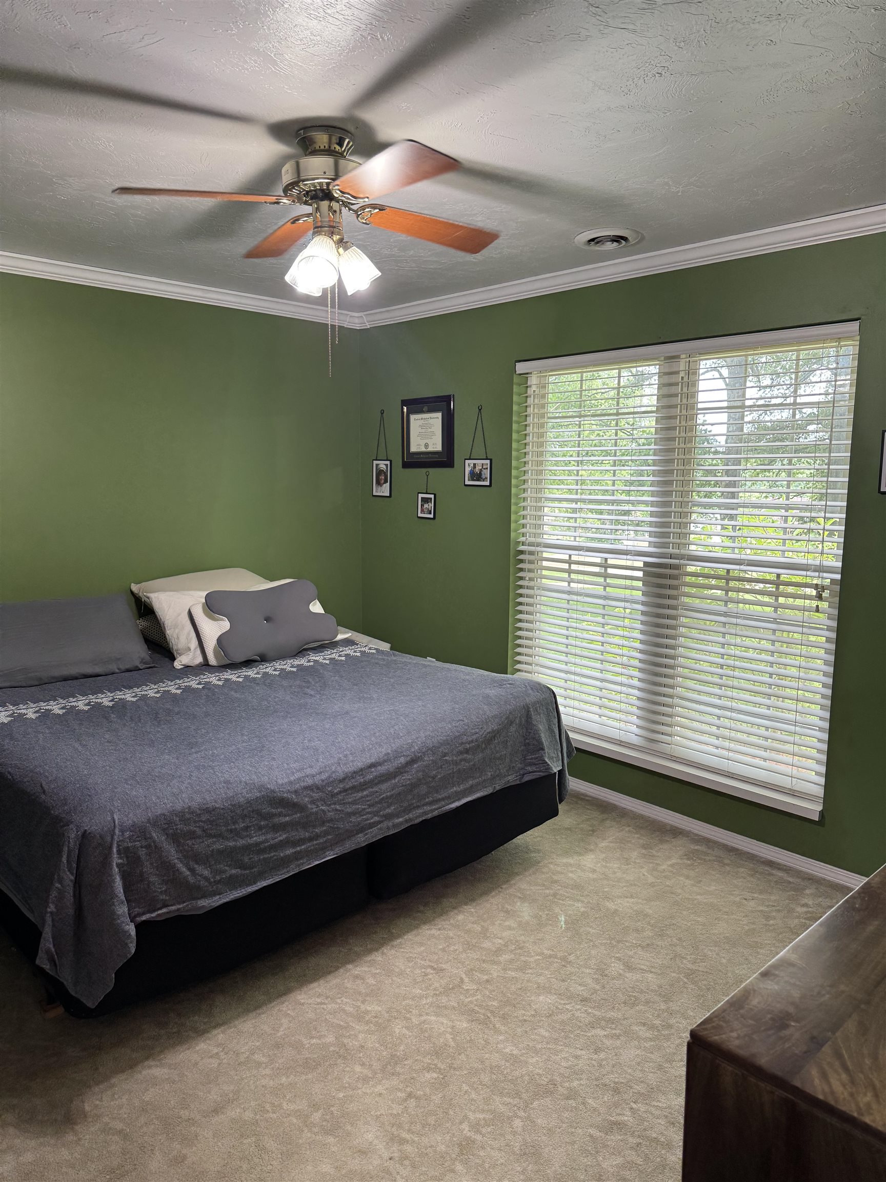 1873  Magnolia Drive  Piggott, AR