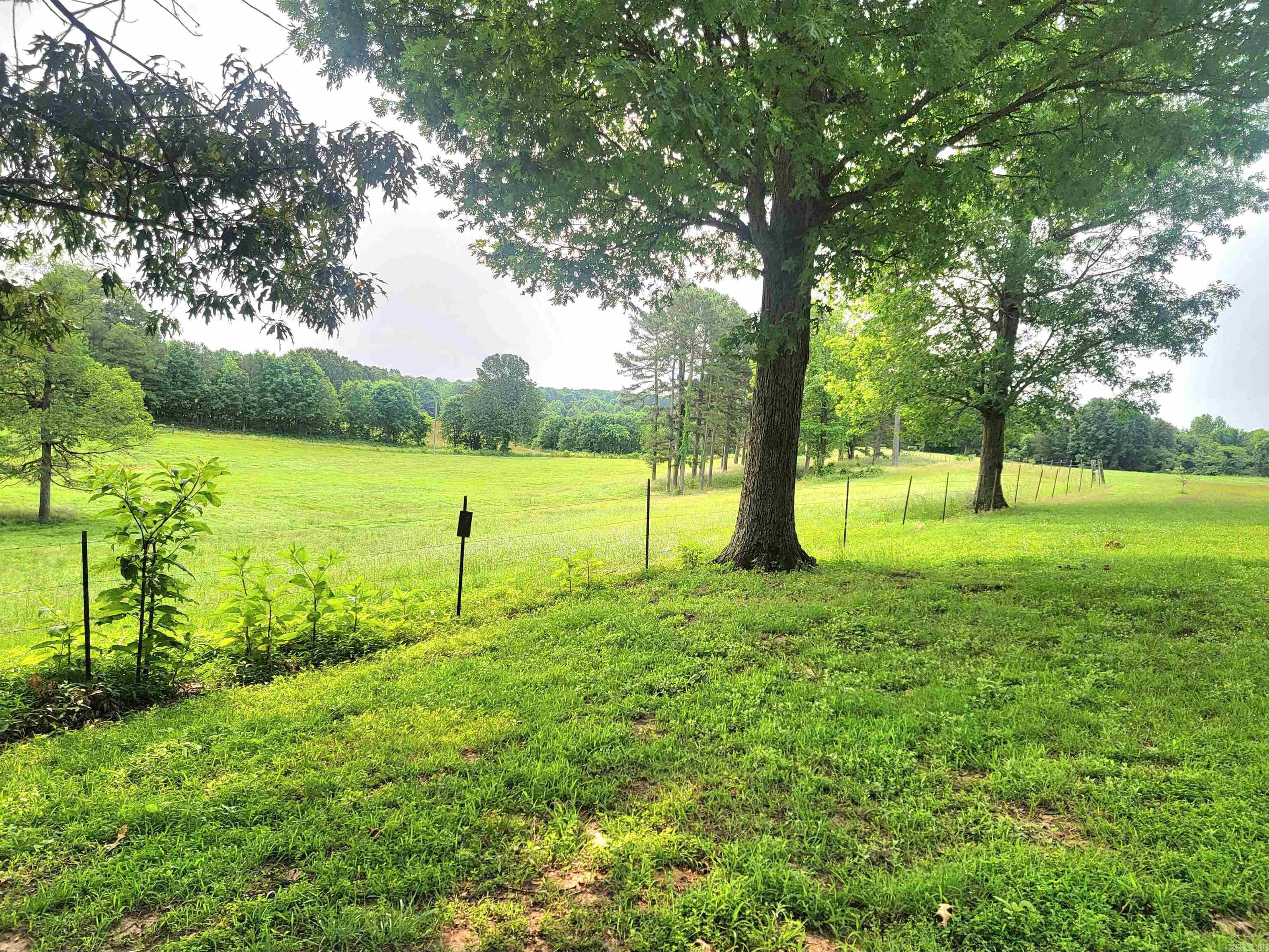 1199  GR 607 RD  Beech Grove, AR