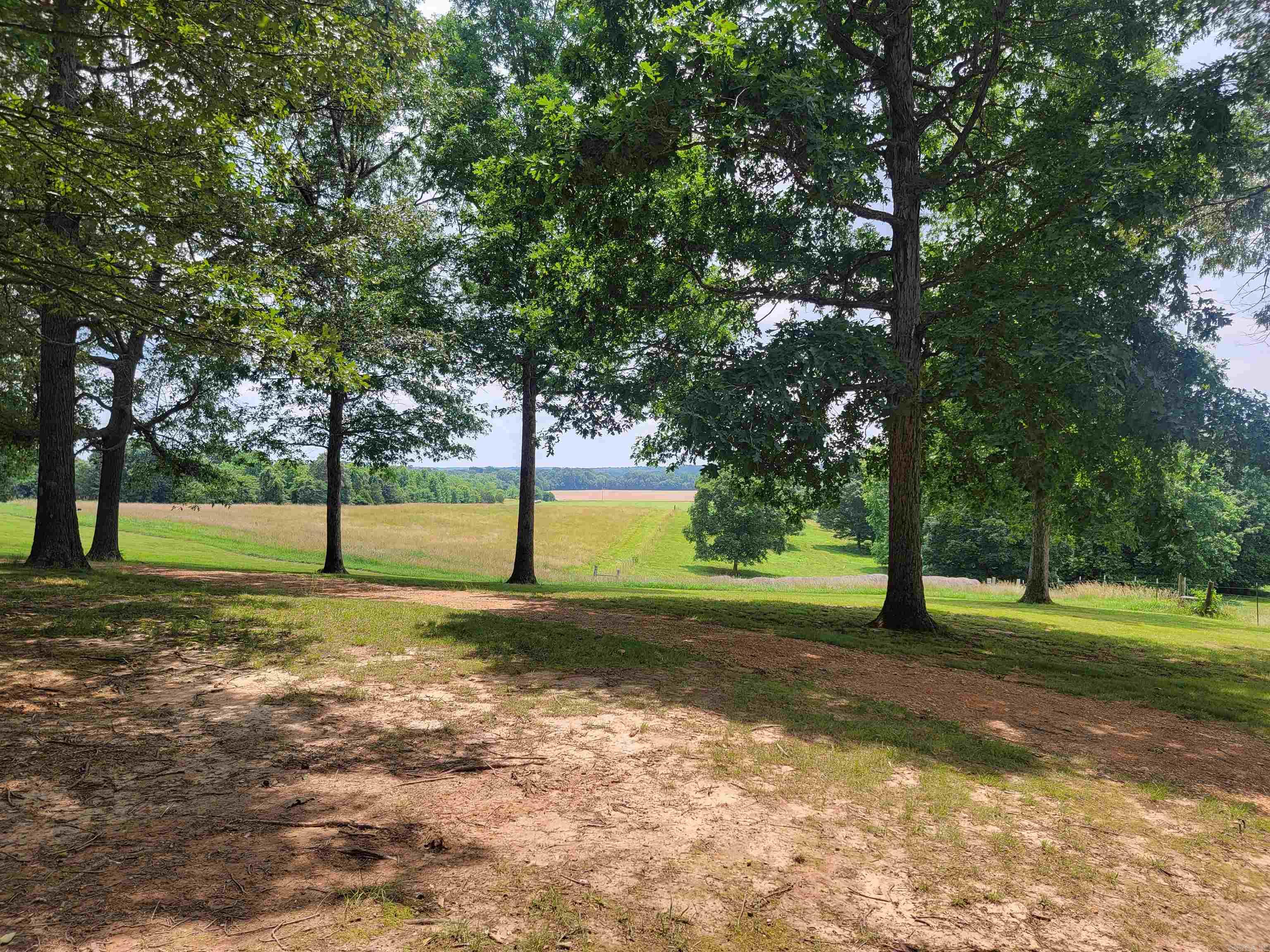 1199  GR 607 RD  Beech Grove, AR