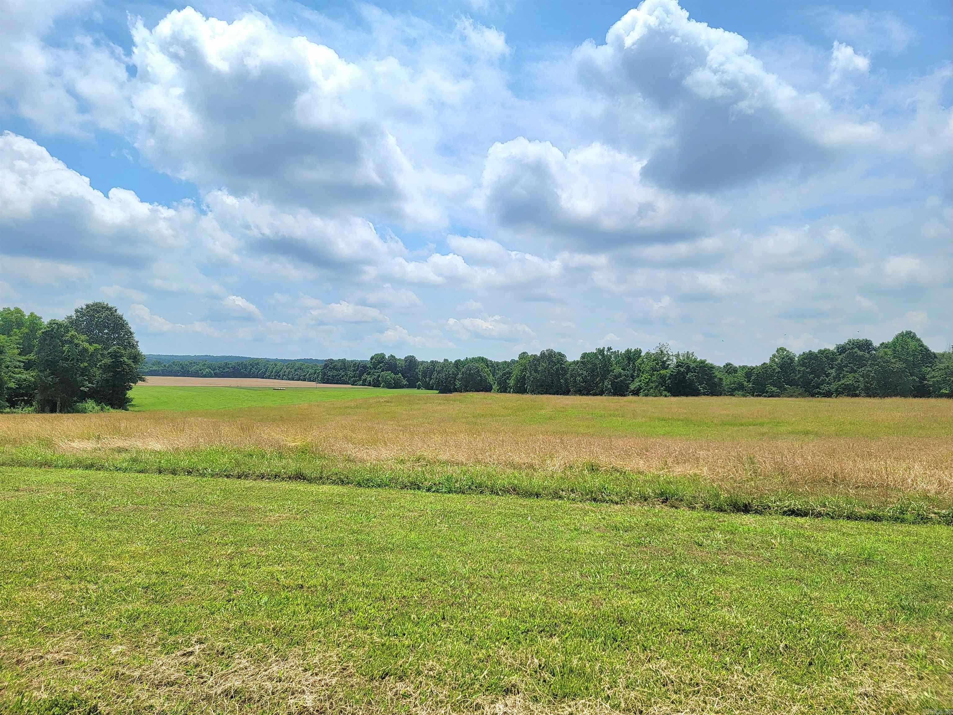 1199  GR 607 RD  Beech Grove, AR