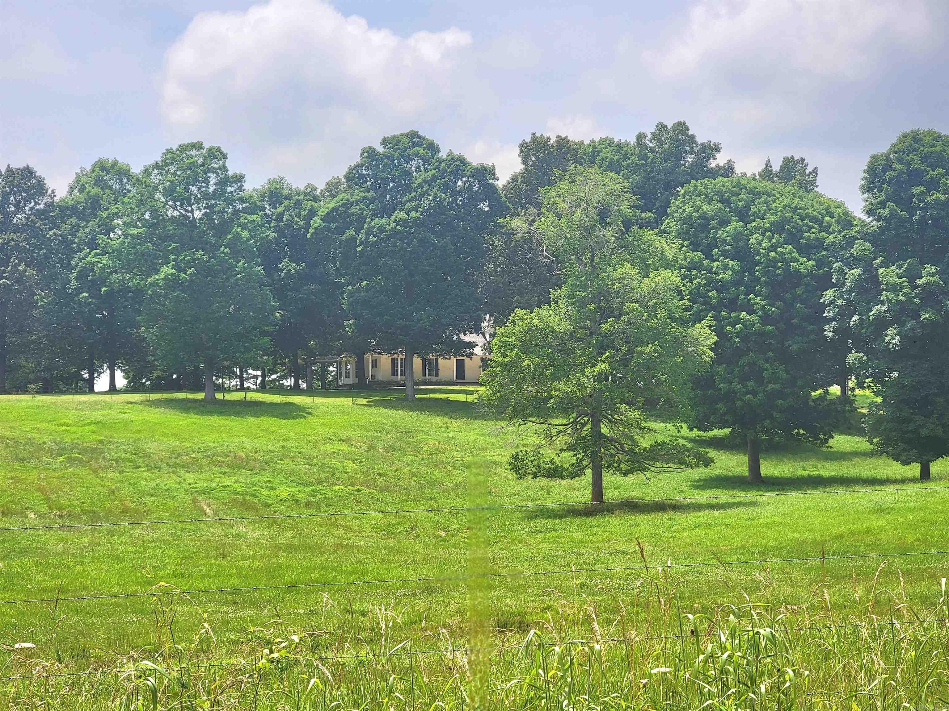 1199  GR 607 RD  Beech Grove, AR