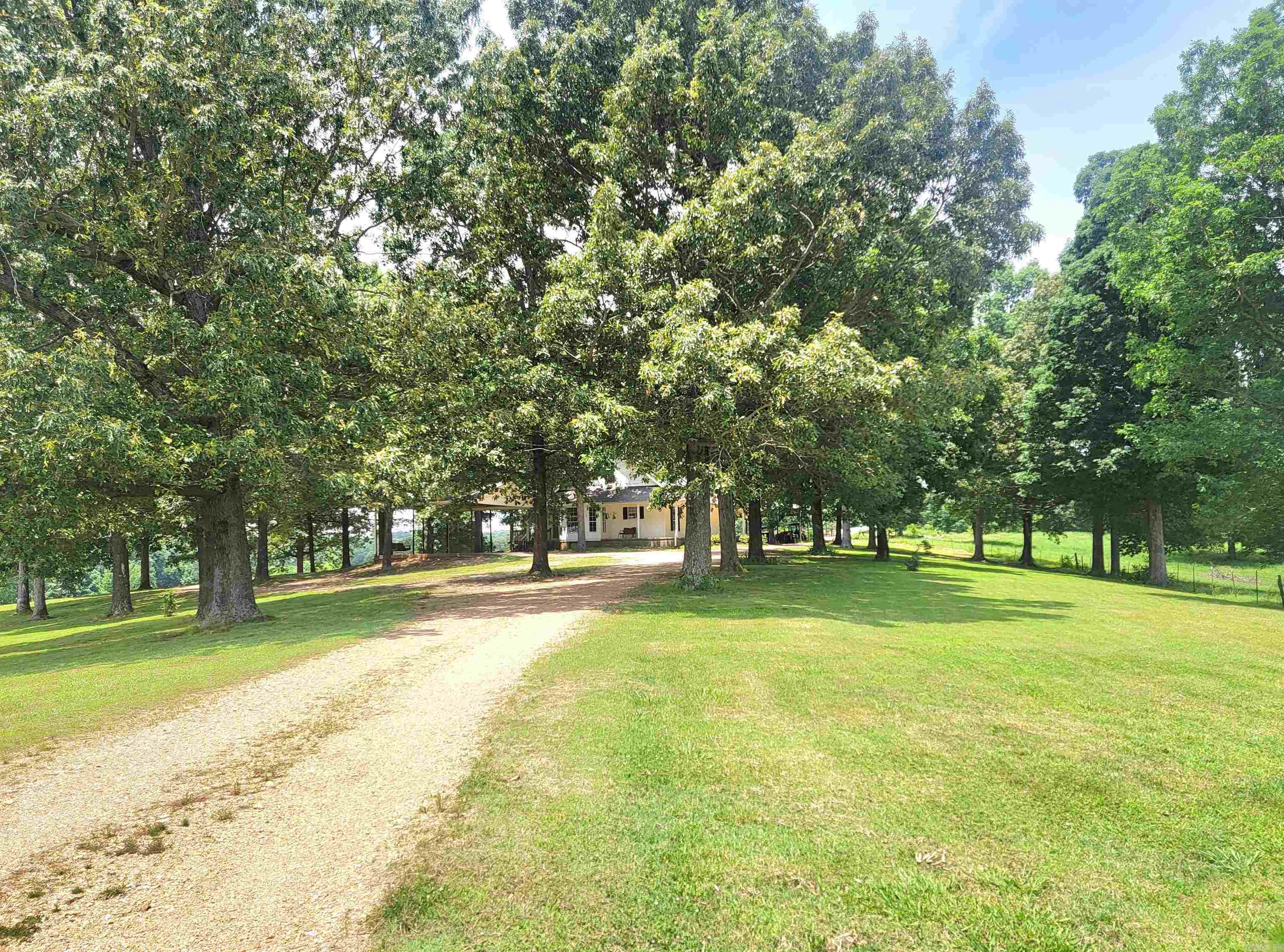 1199  GR 607 RD  Beech Grove, AR