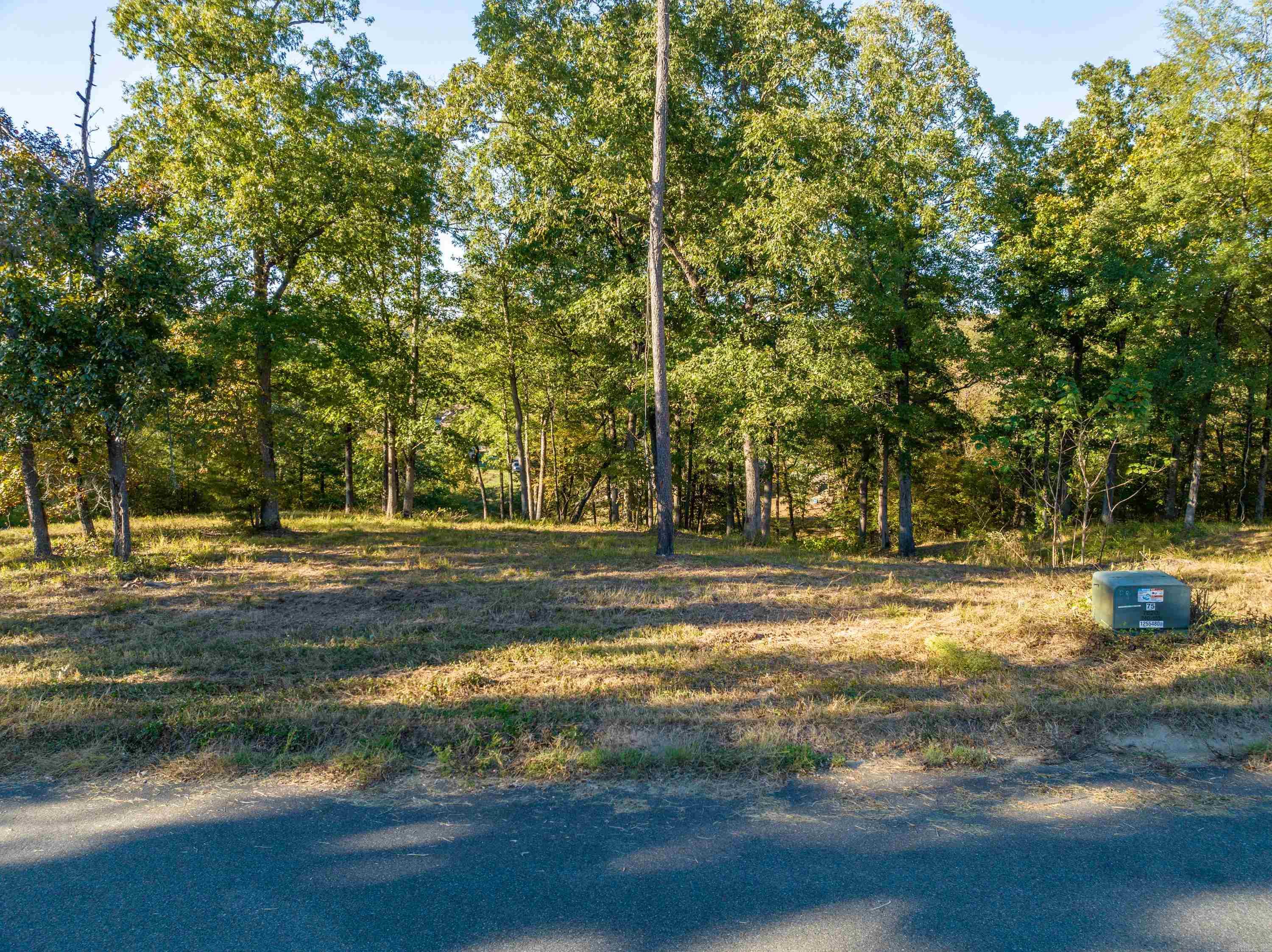 LOT 44  Windsong Bay  Hot Springs, AR