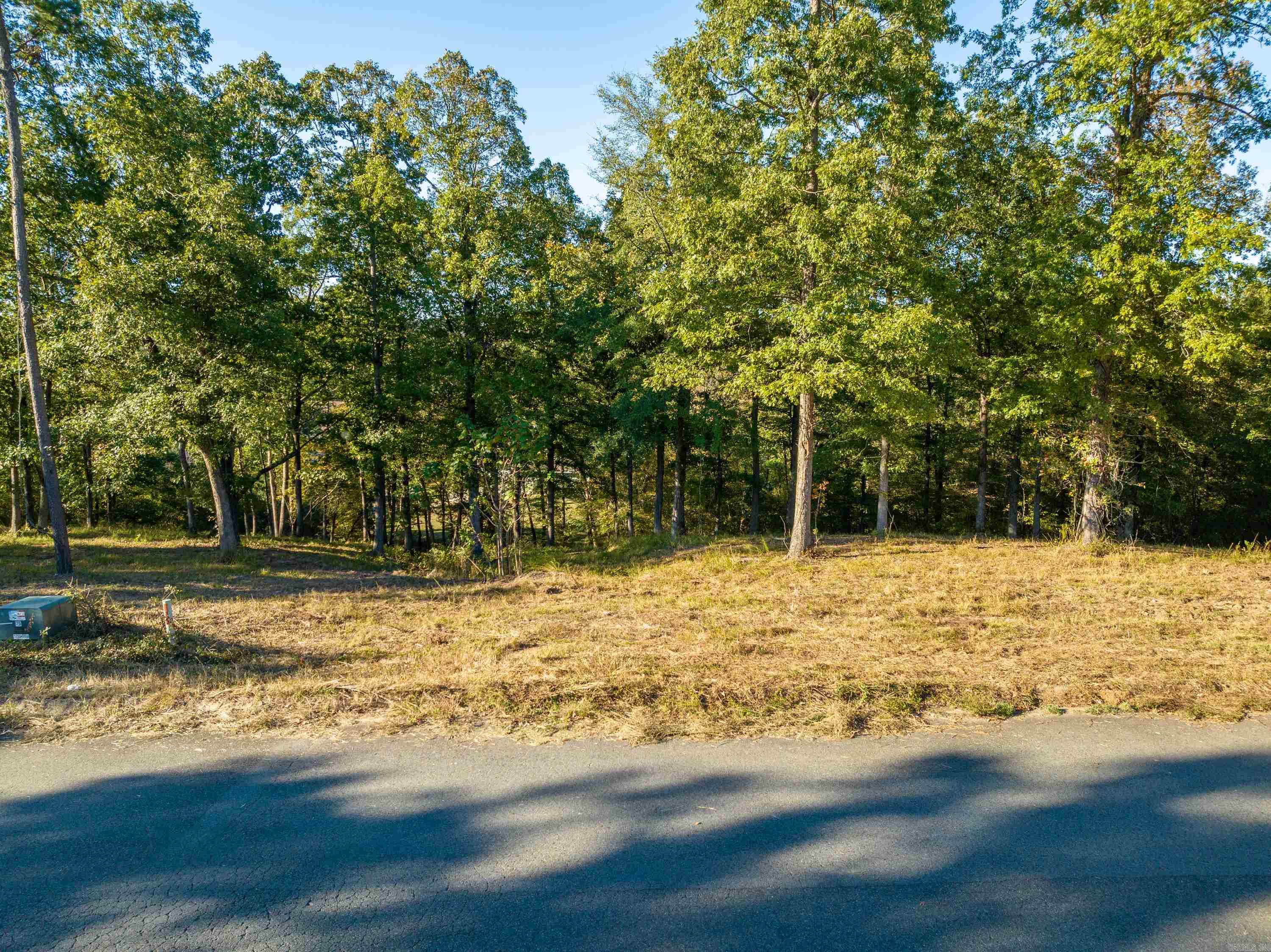 LOT 43  Windsong Bay  Hot Springs, AR