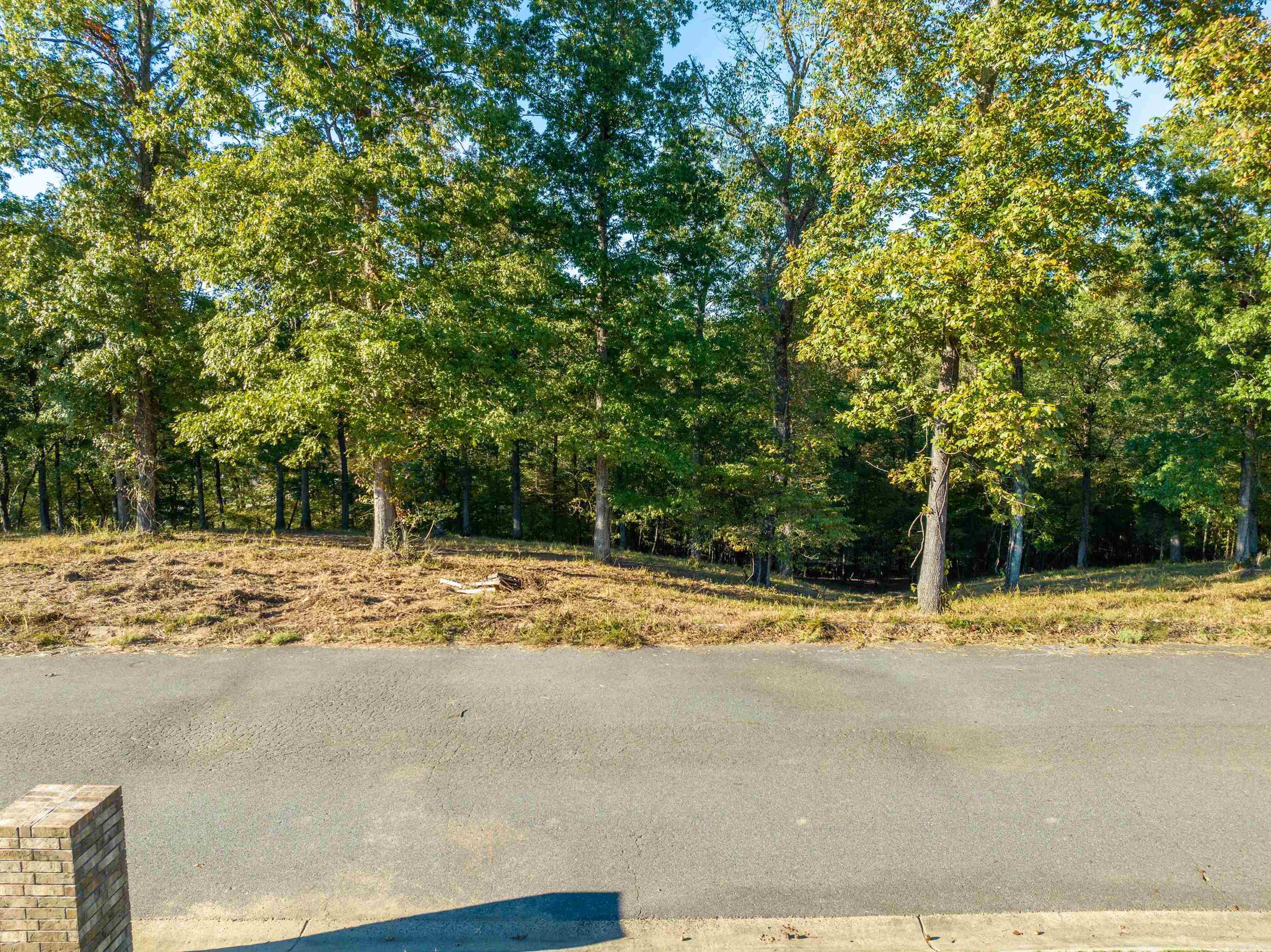 LOT 43  Windsong Bay  Hot Springs, AR