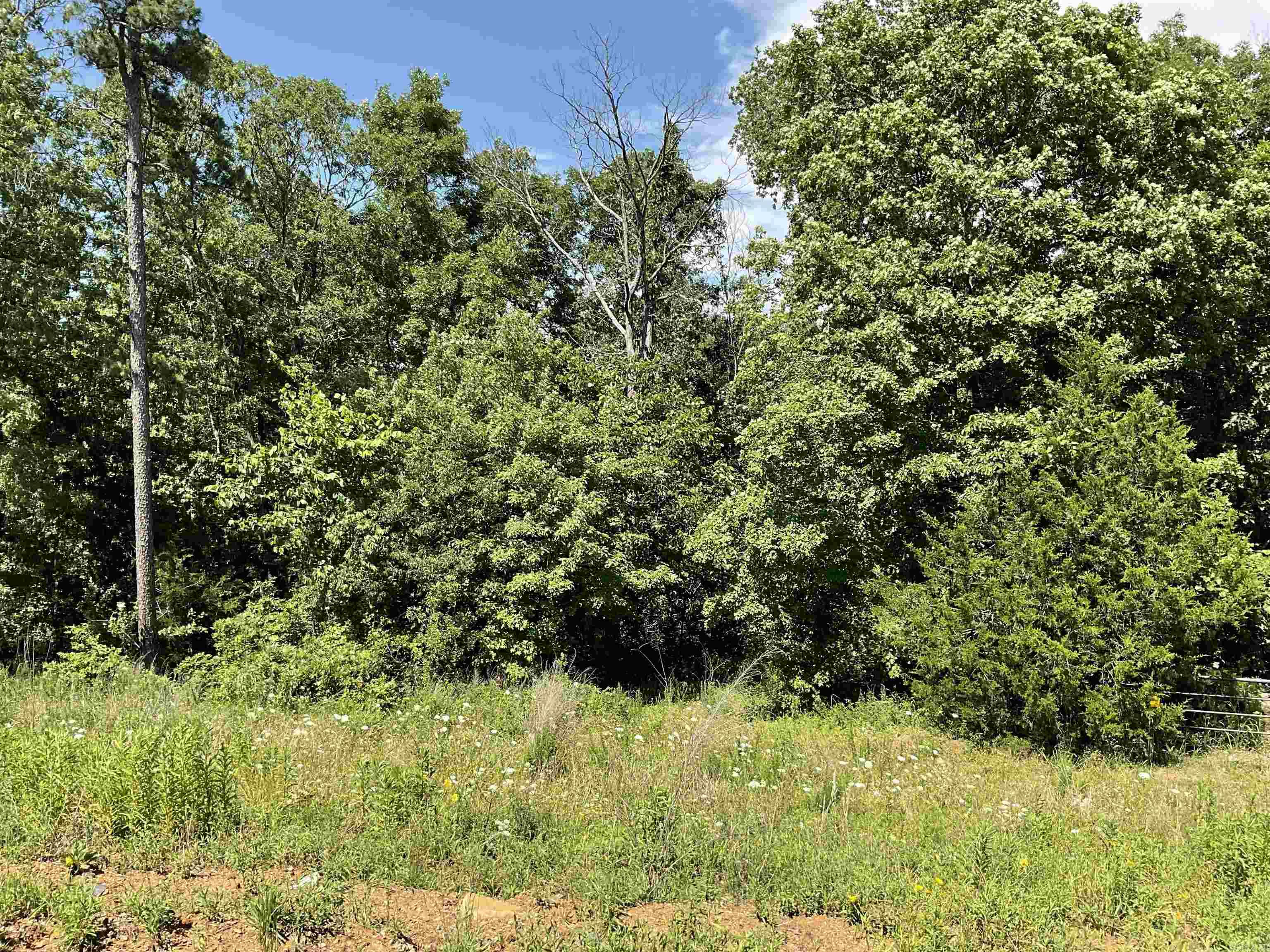 TBD  HWY 65  Clinton, AR