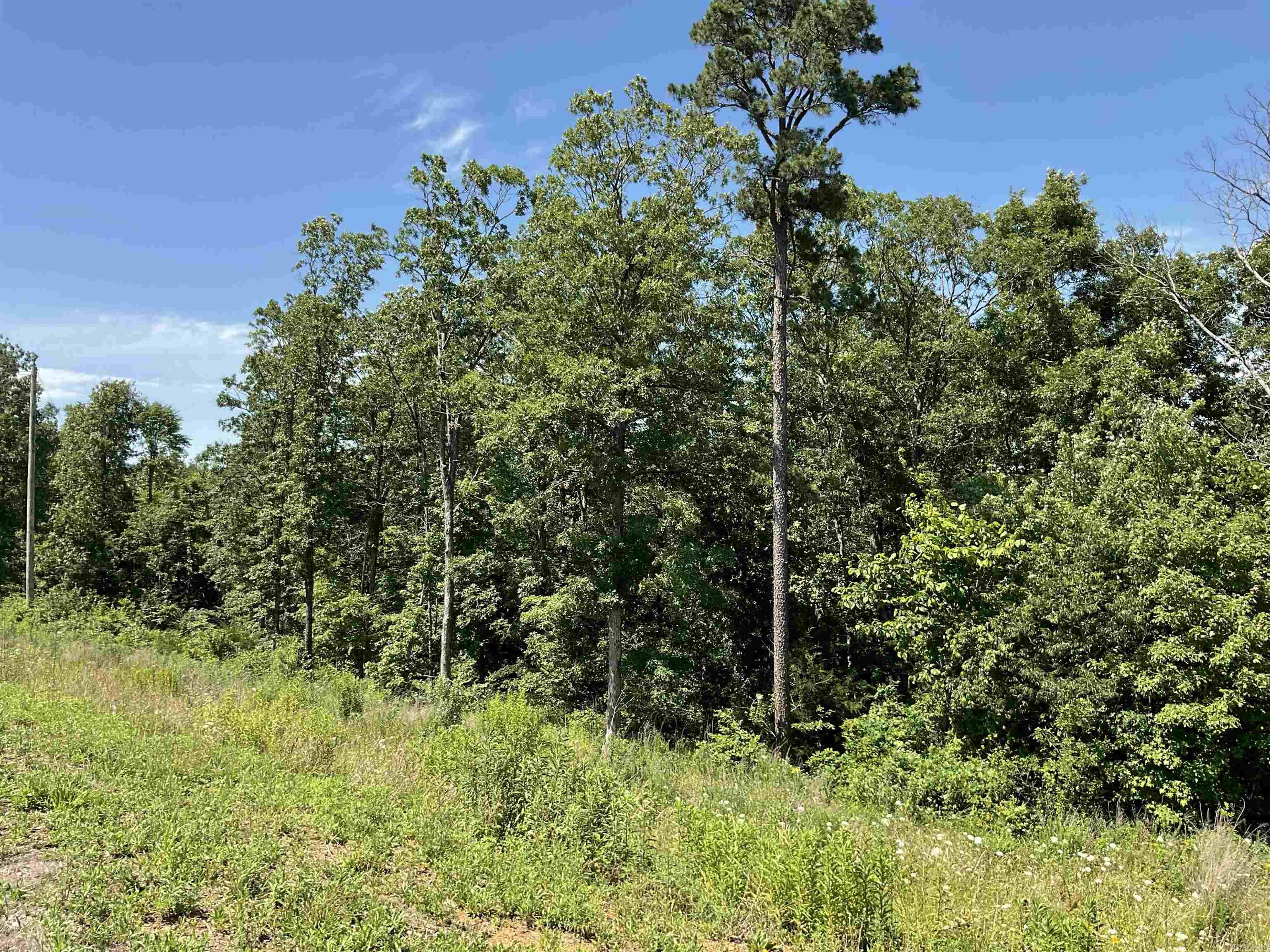 TBD  HWY 65  Clinton, AR