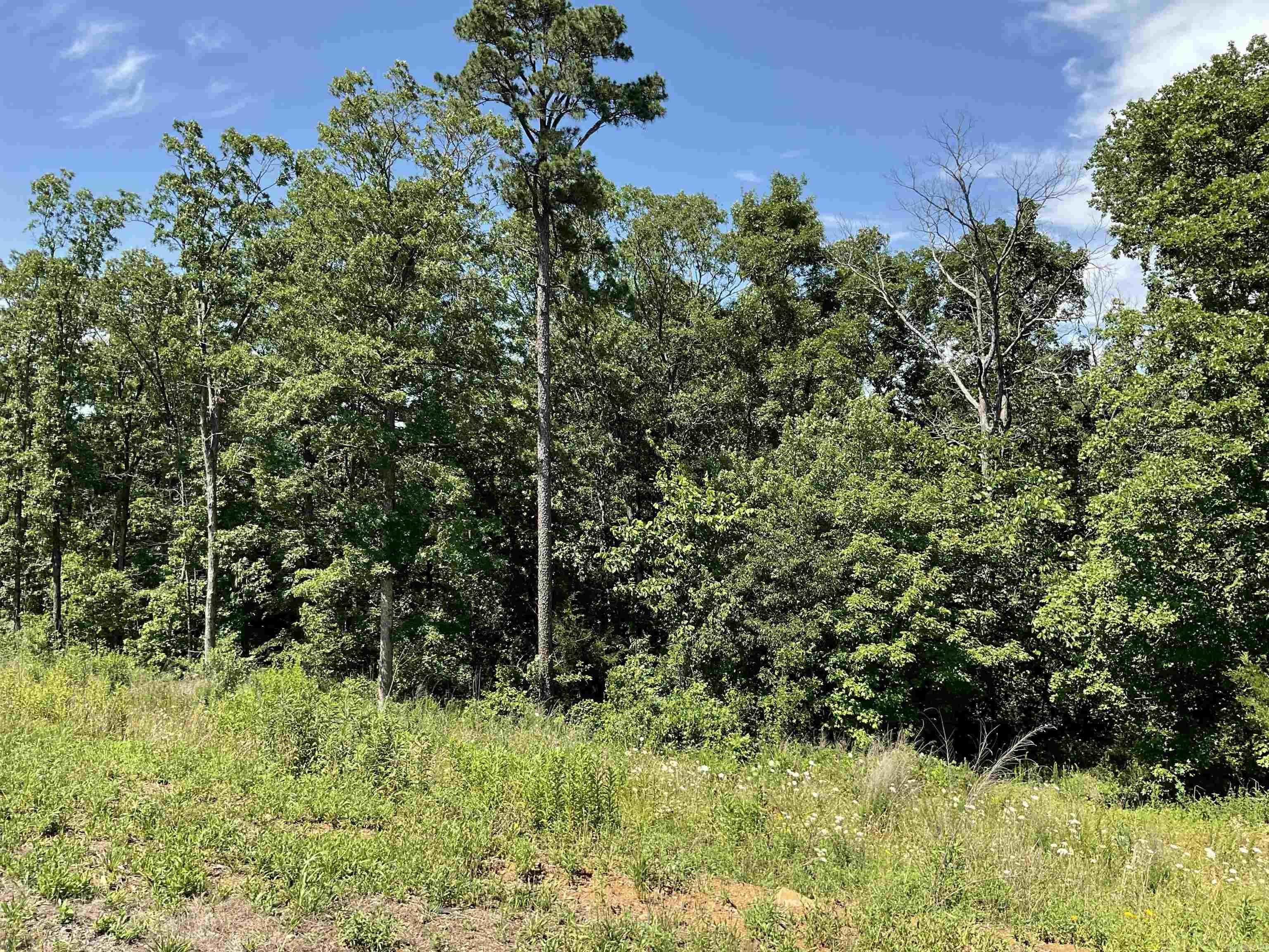 TBD  HWY 65  Clinton, AR