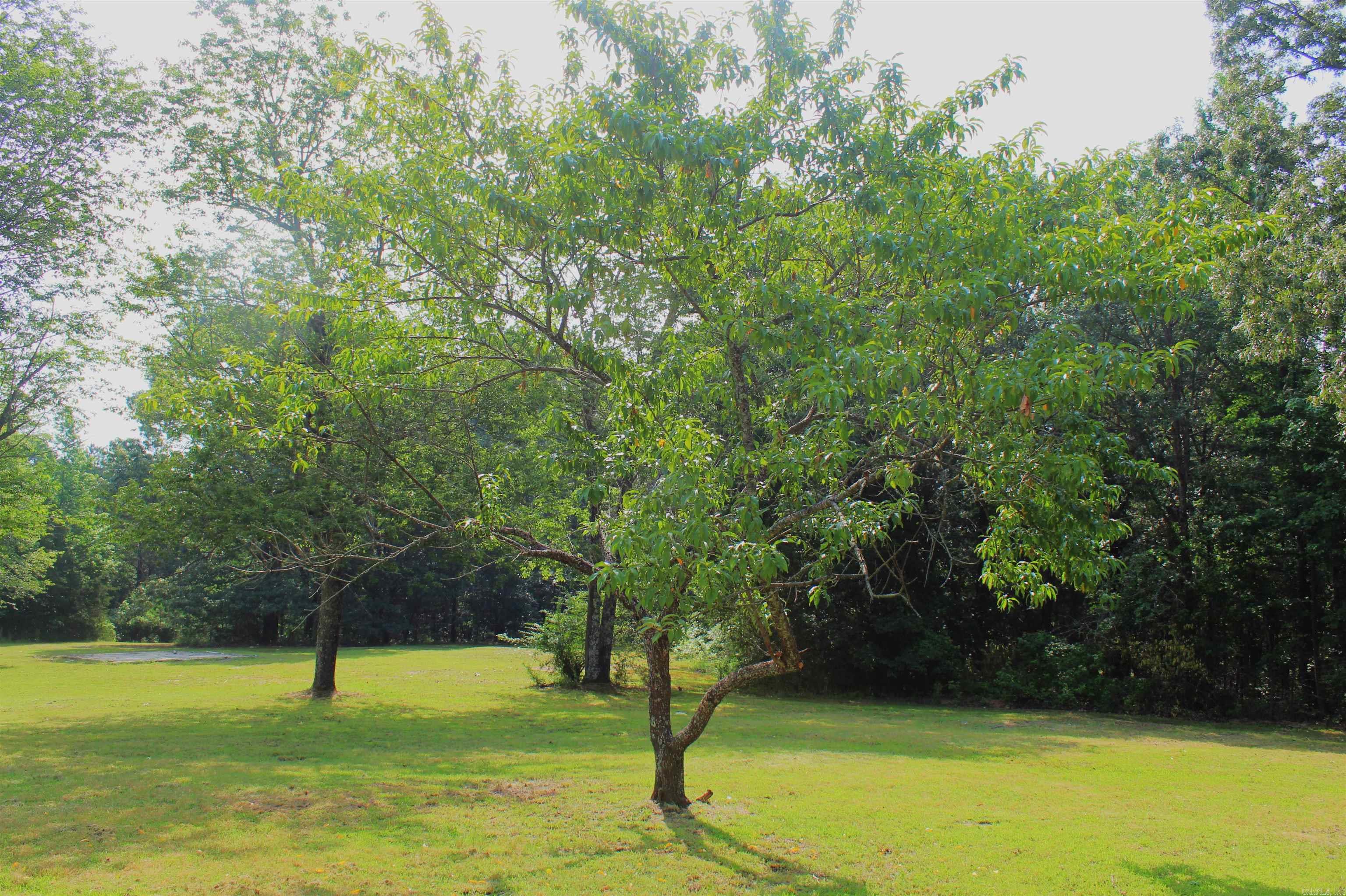 624  Bettis Mountain  Quitman, AR