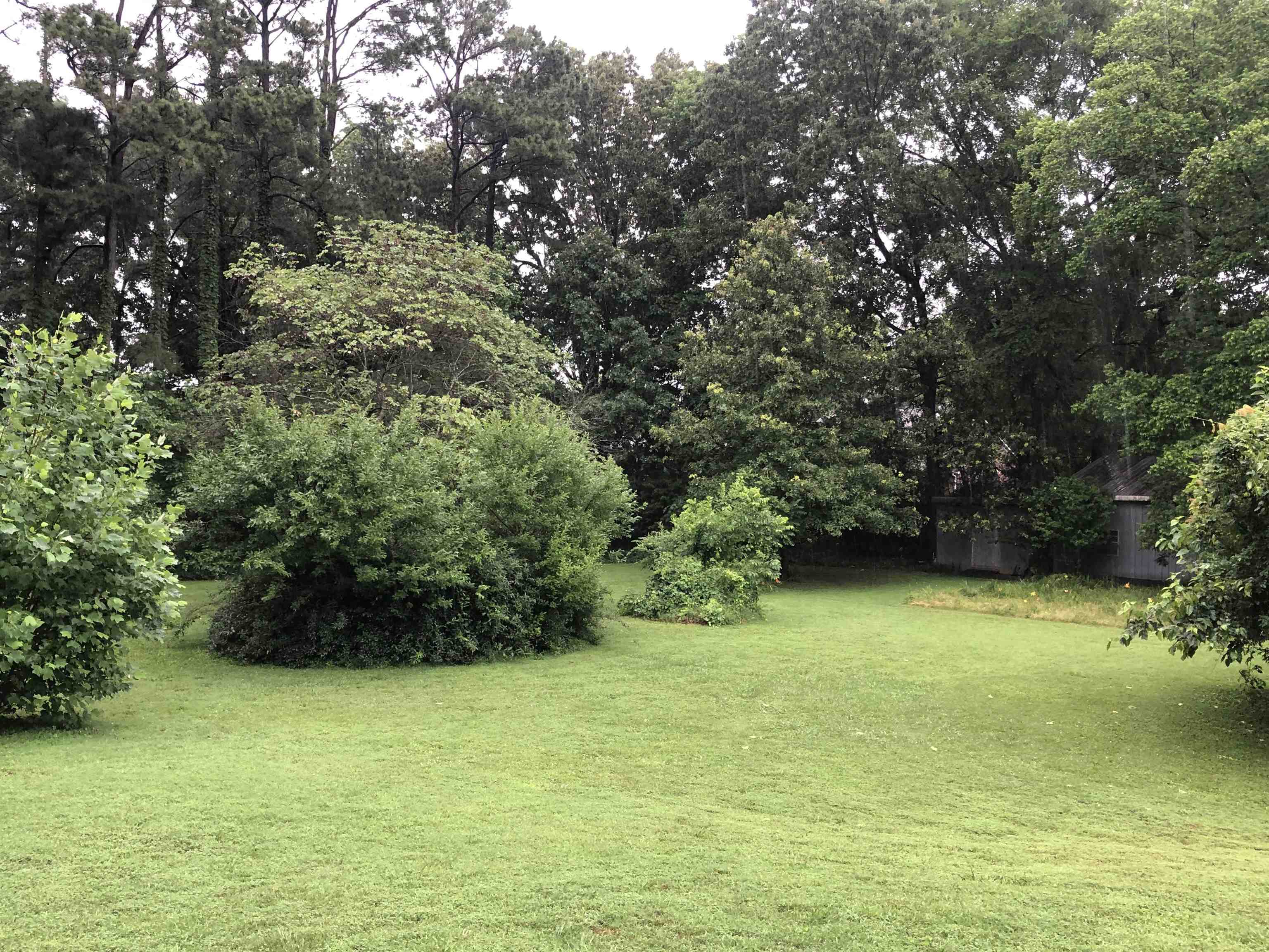 2101  WILDROSE  Paragould, AR