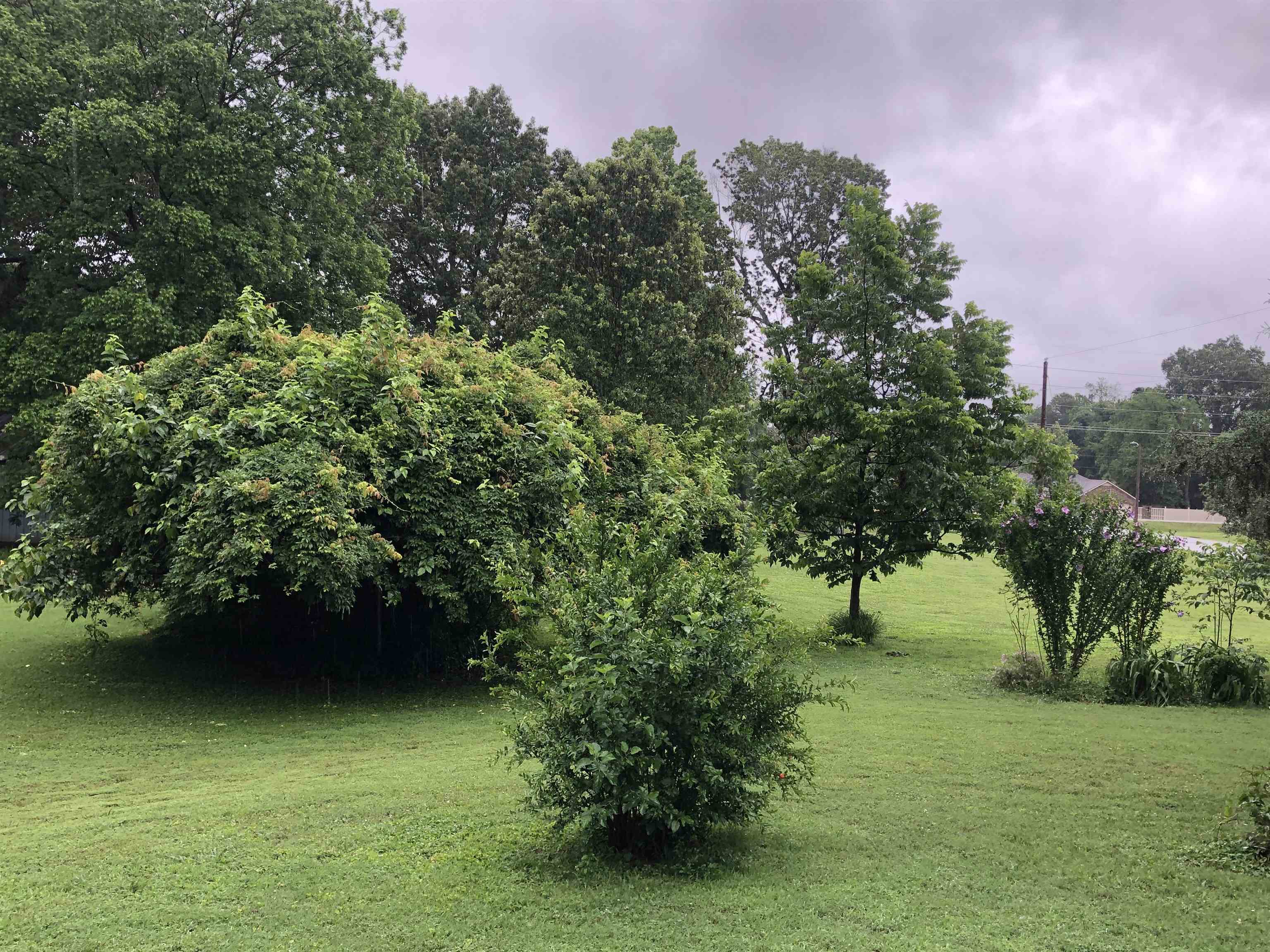 2101  WILDROSE  Paragould, AR