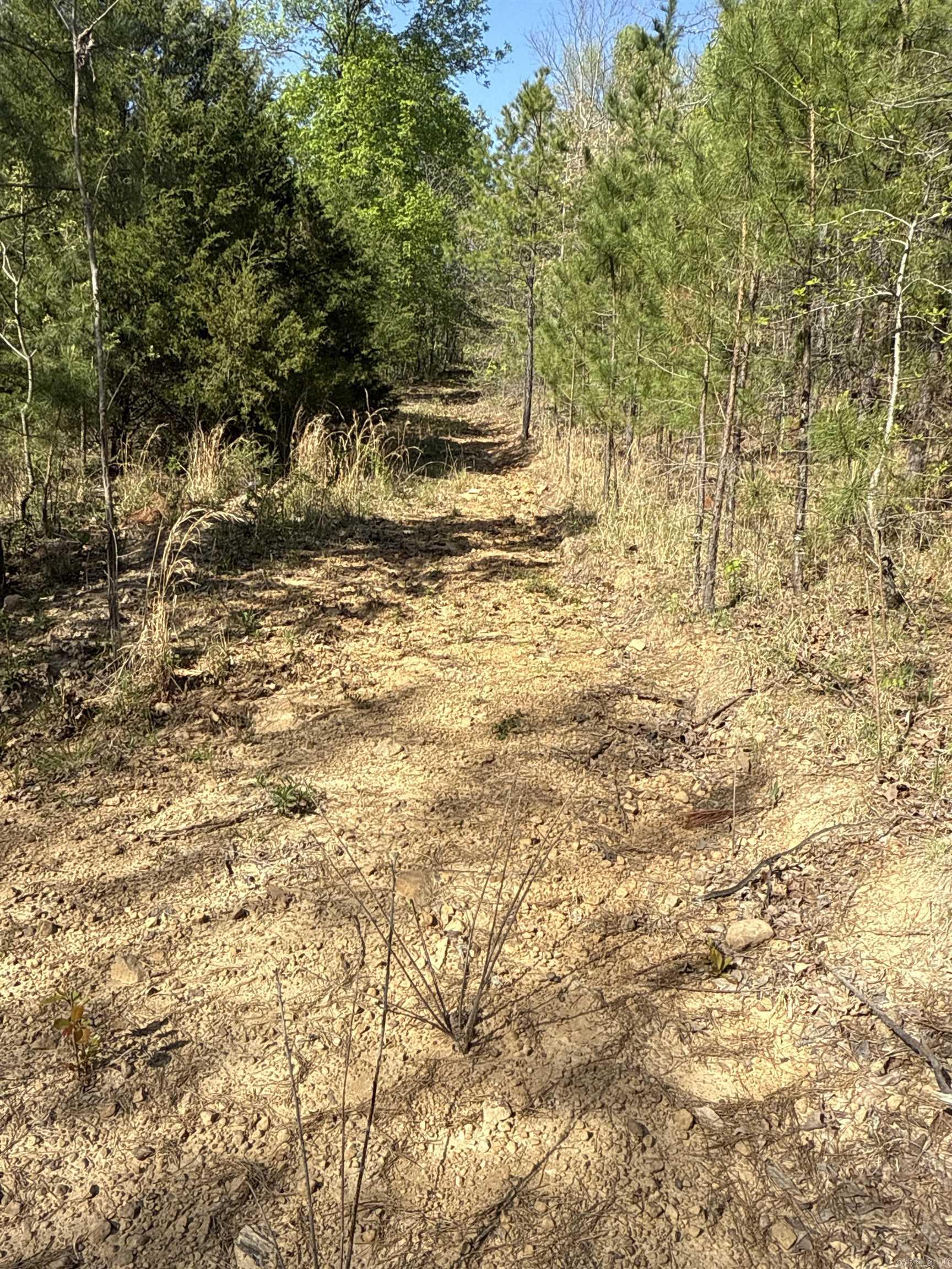 2812  Henderson  Clinton, AR