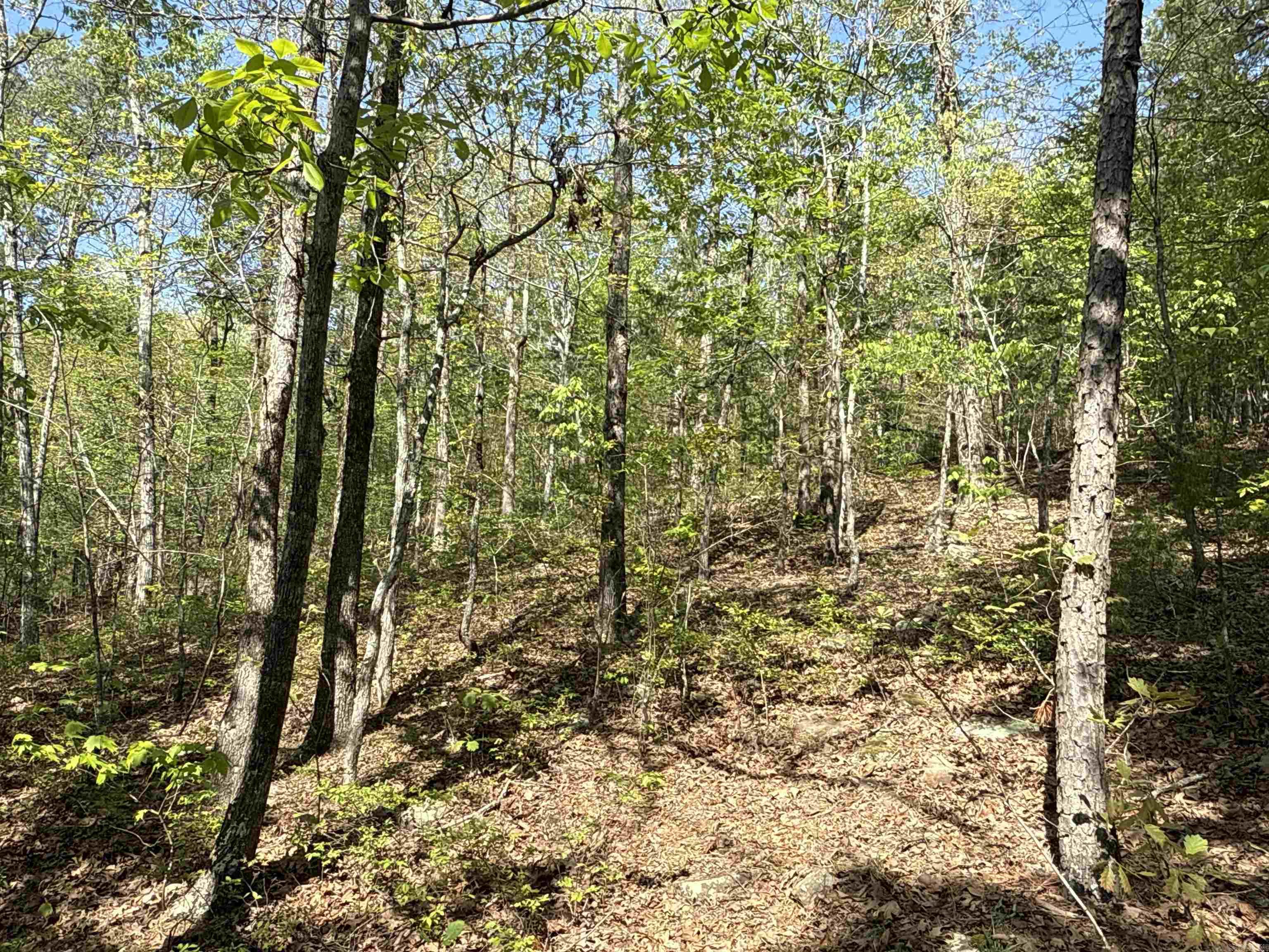 2812  Henderson  Clinton, AR