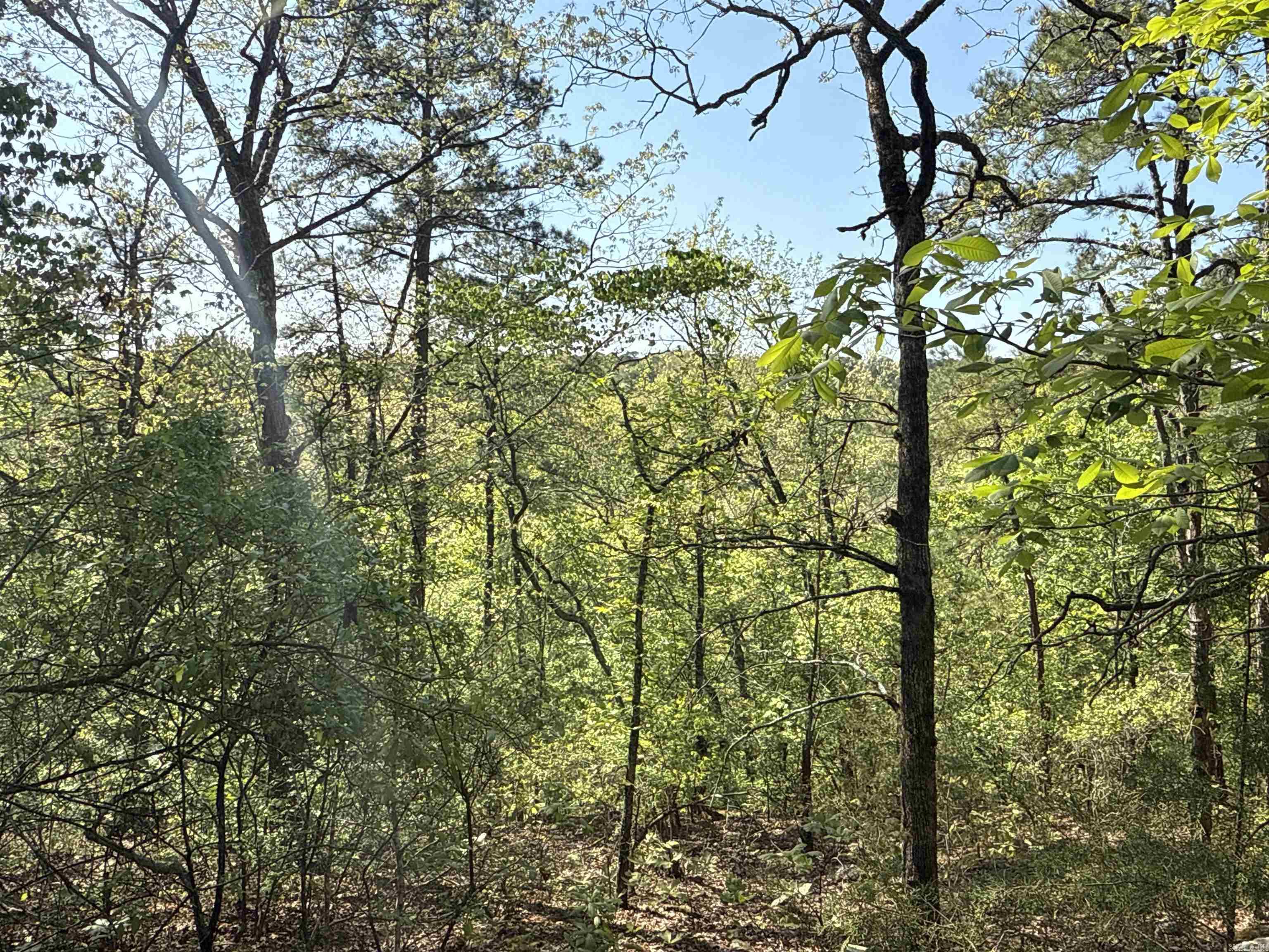 2812  Henderson  Clinton, AR