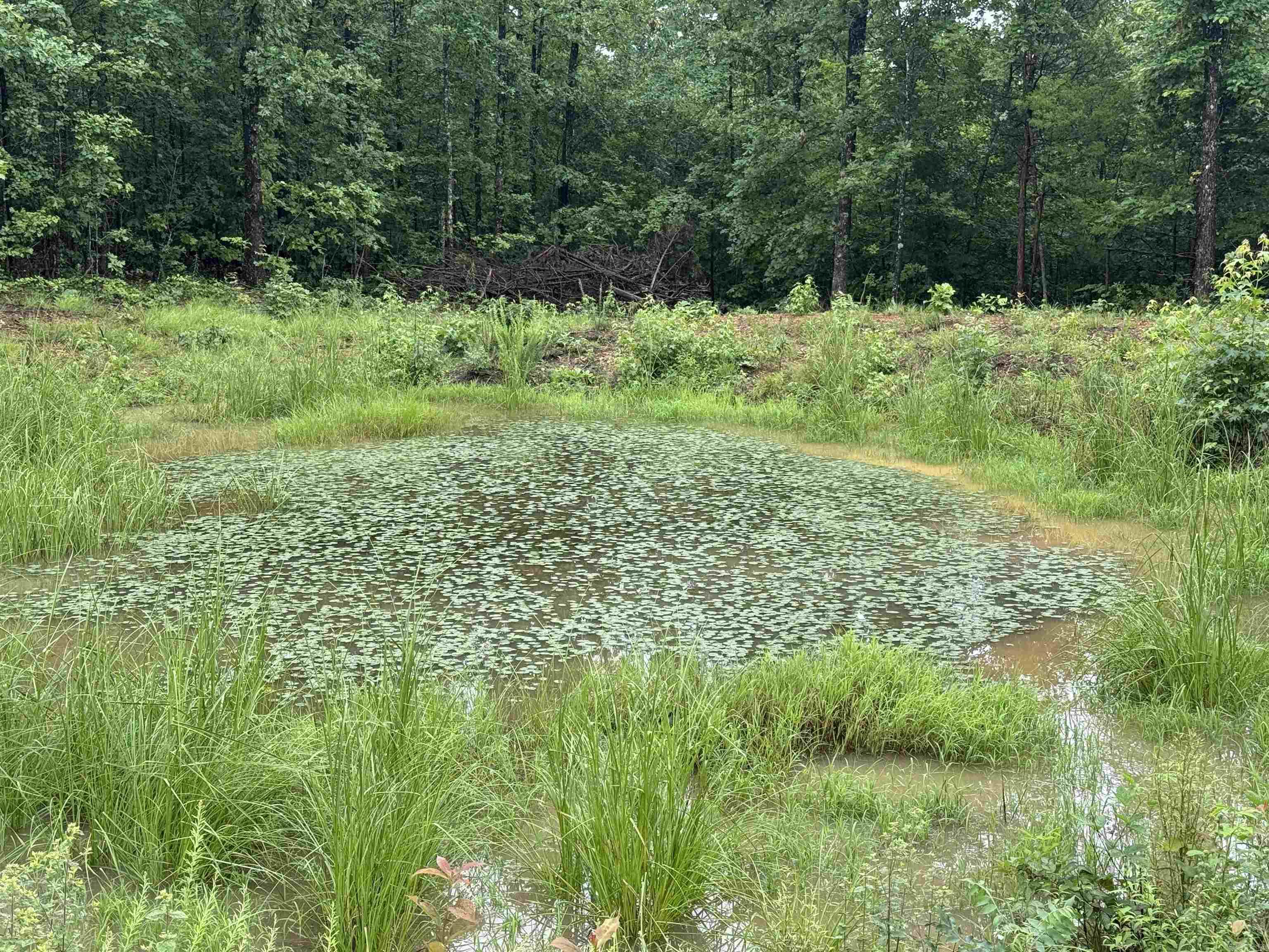 2812  Henderson  Clinton, AR