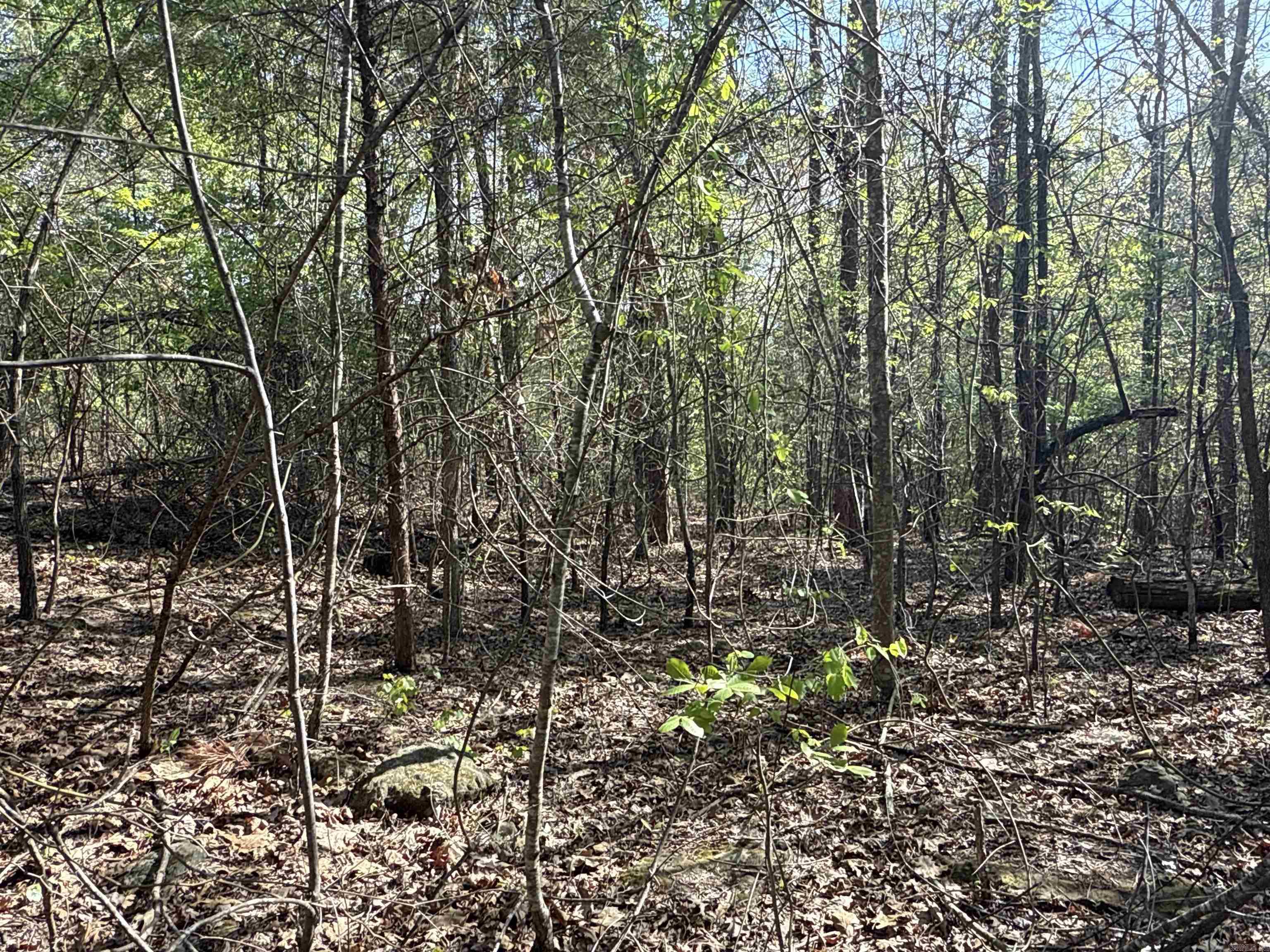 2812  Henderson  Clinton, AR