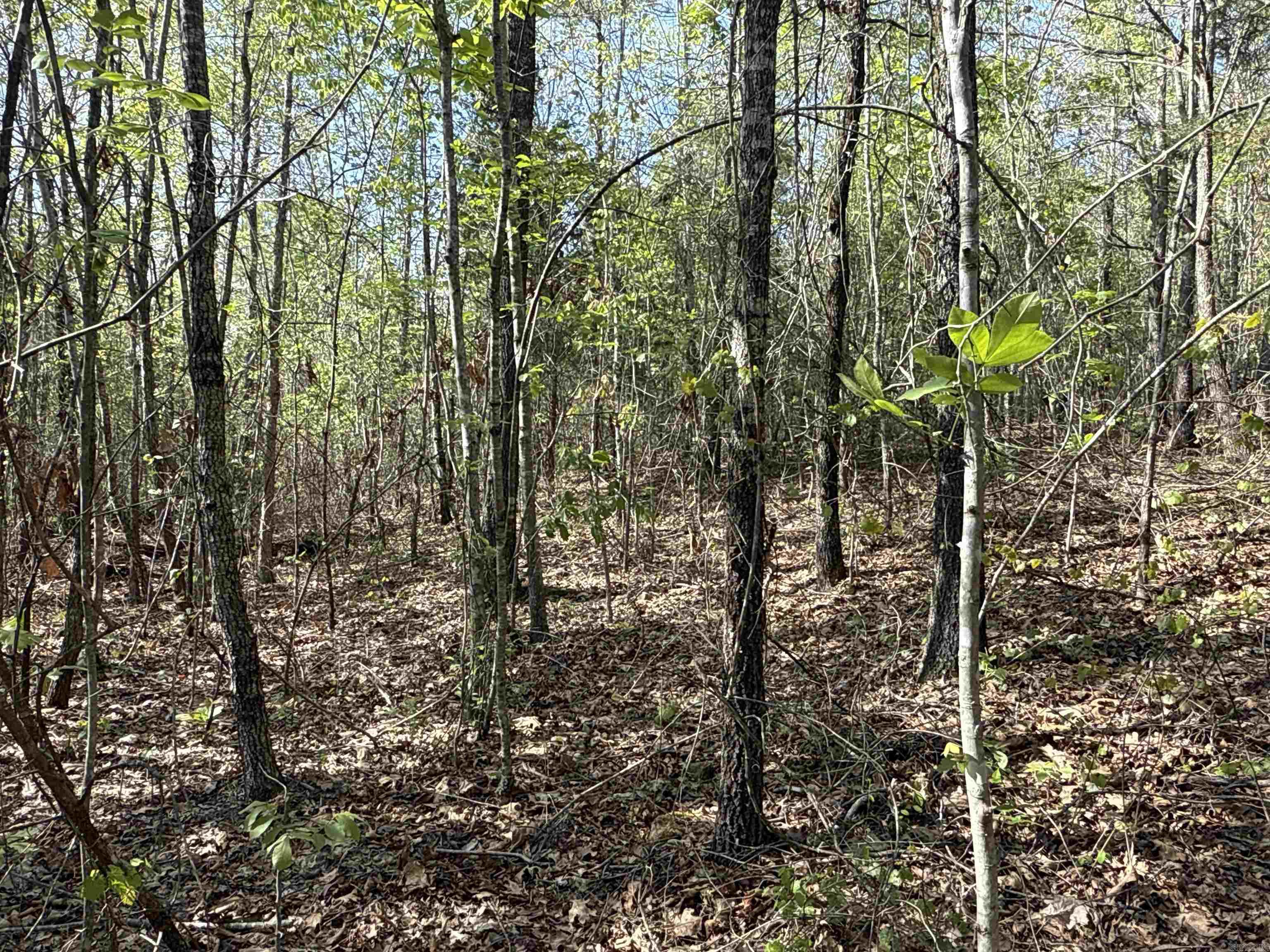 2812  Henderson  Clinton, AR