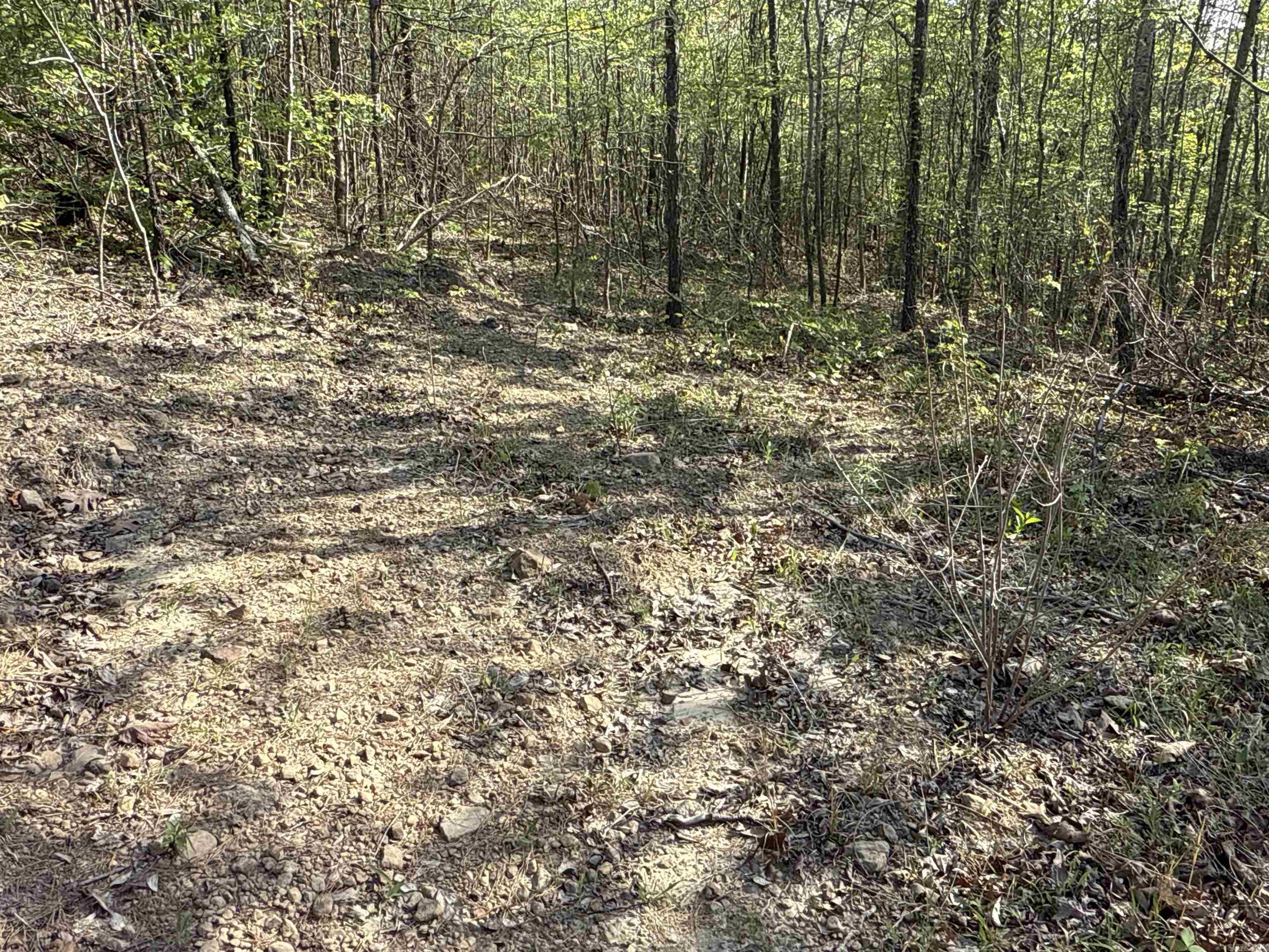 2812  Henderson  Clinton, AR