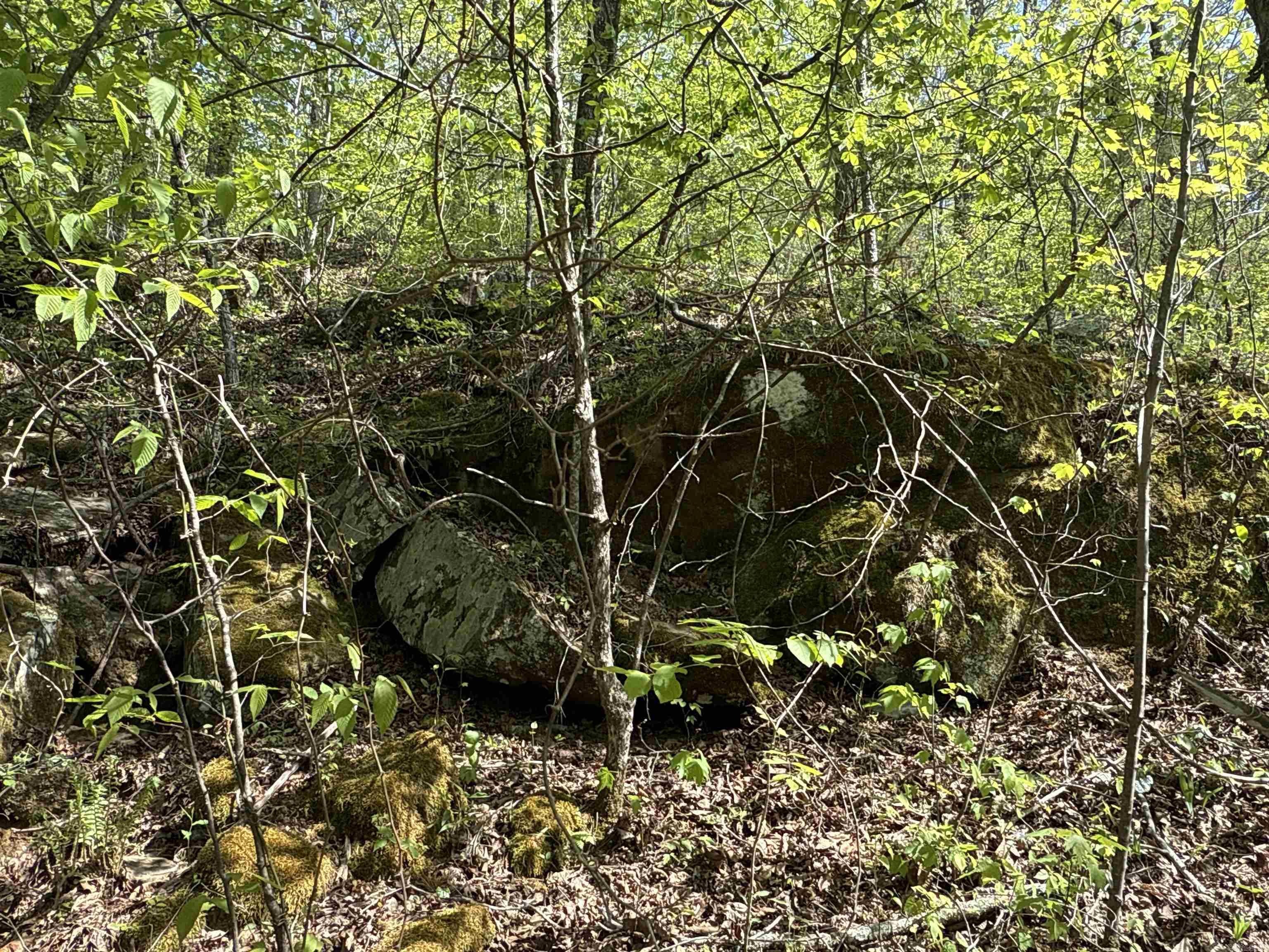 2812  Henderson  Clinton, AR