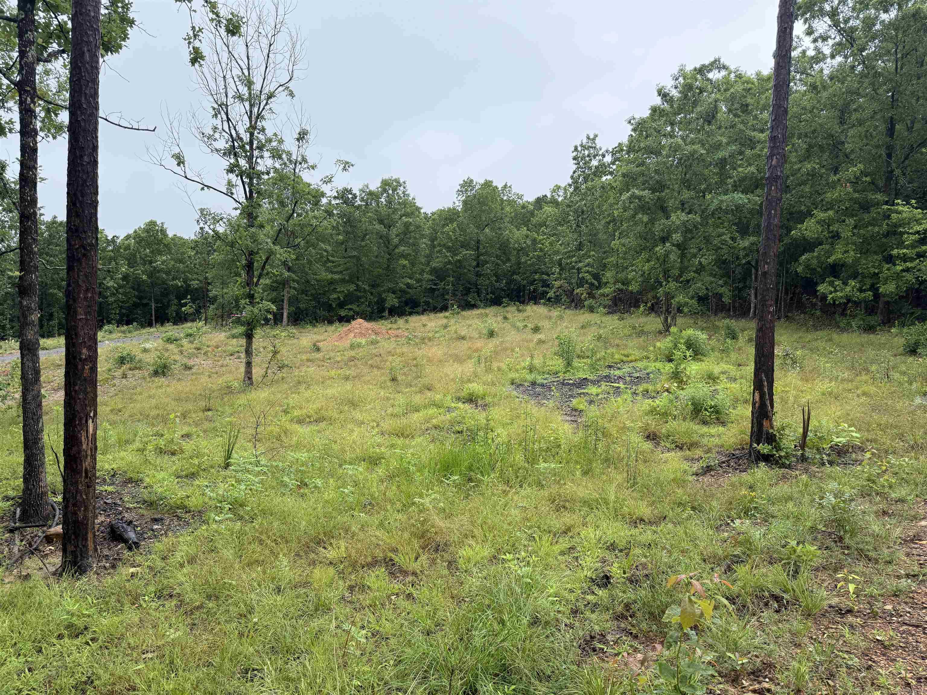 2812  Henderson  Clinton, AR