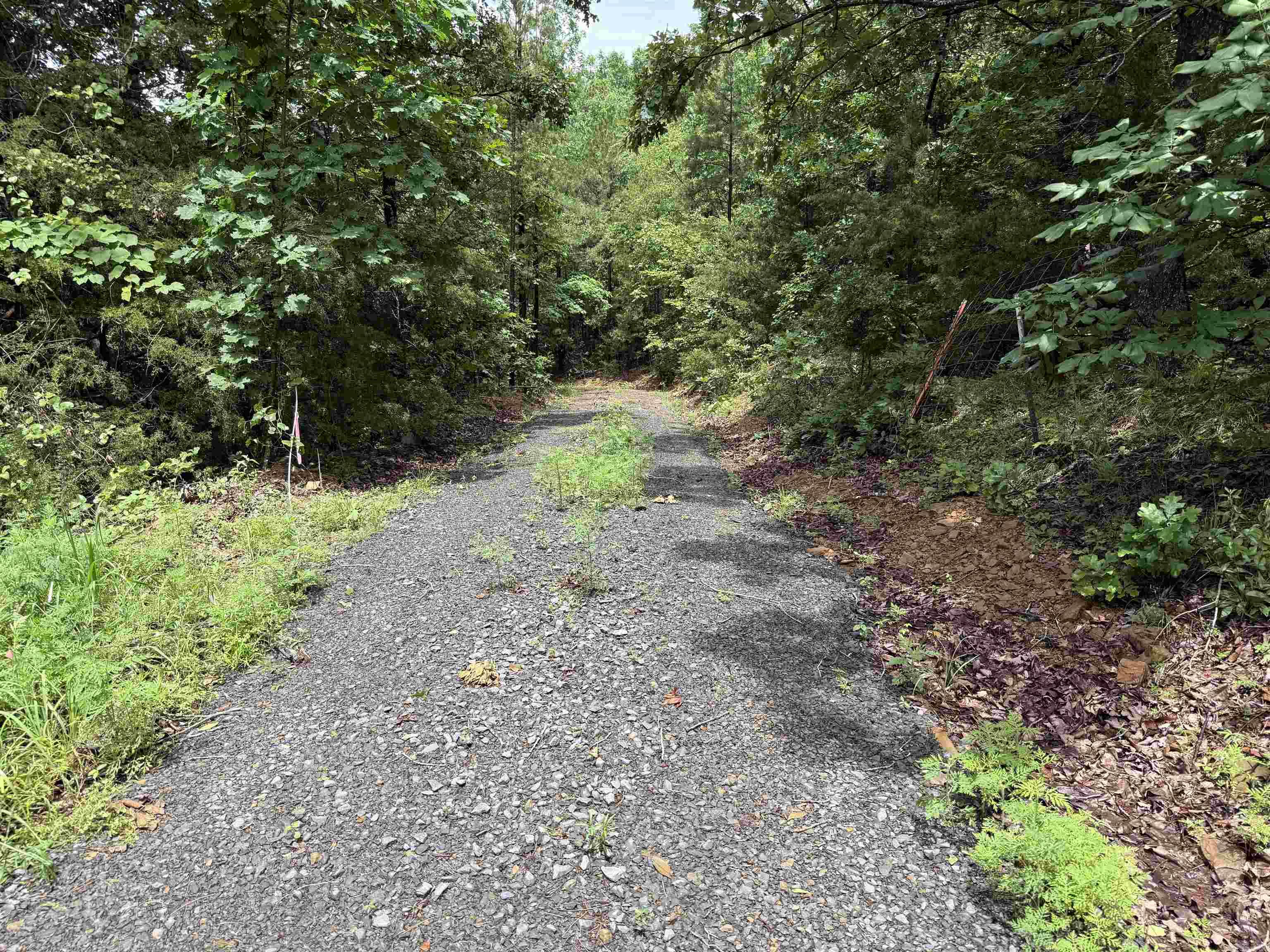 2812  Henderson  Clinton, AR