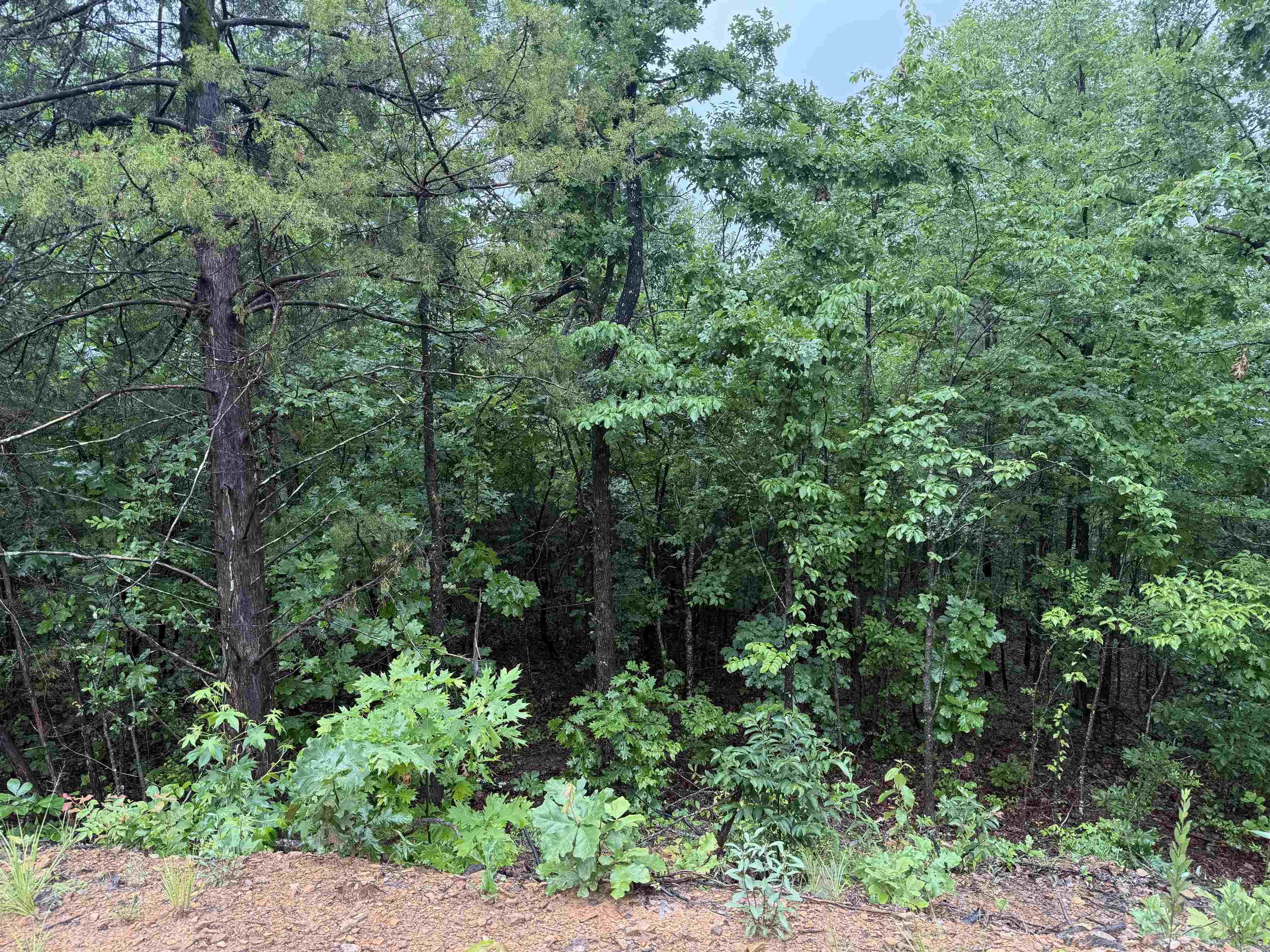 2812  Henderson  Clinton, AR