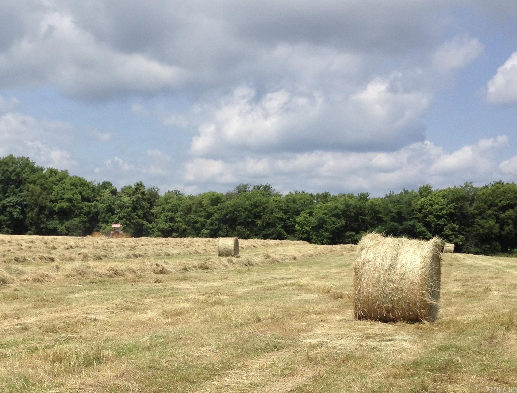 360  27 N  Mount Ida, AR
