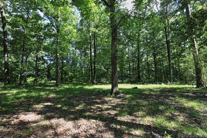 193  Sycamore  Sheridan, AR
