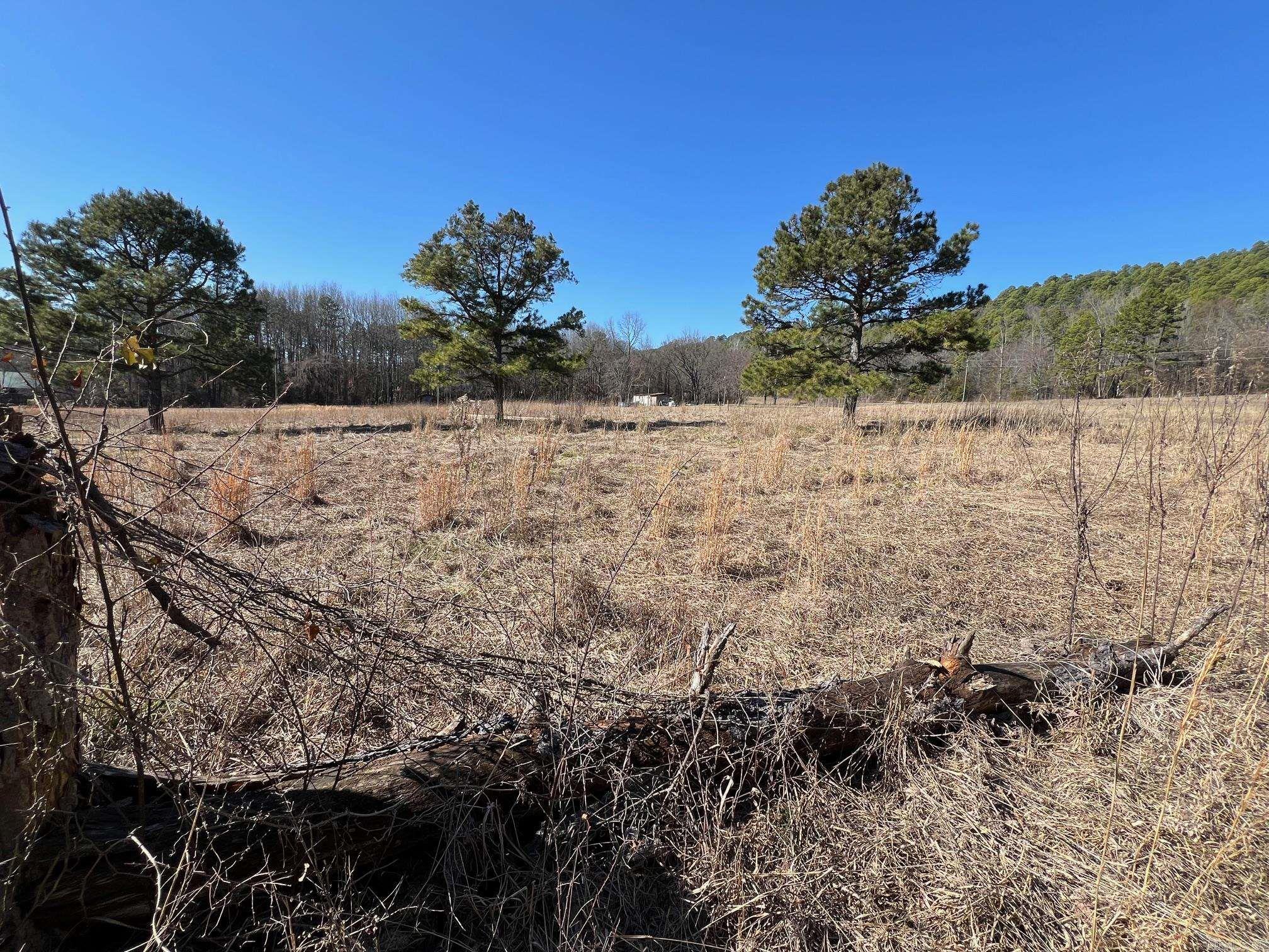 00  Mary Ln  Casa, AR