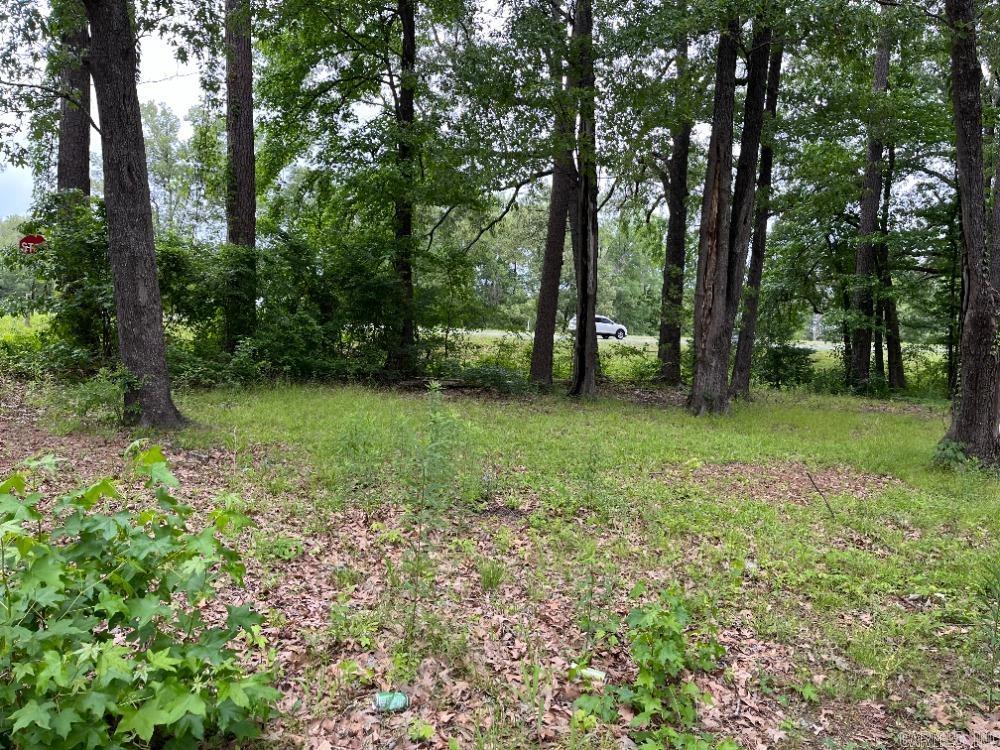00  Lee  Fordyce, AR
