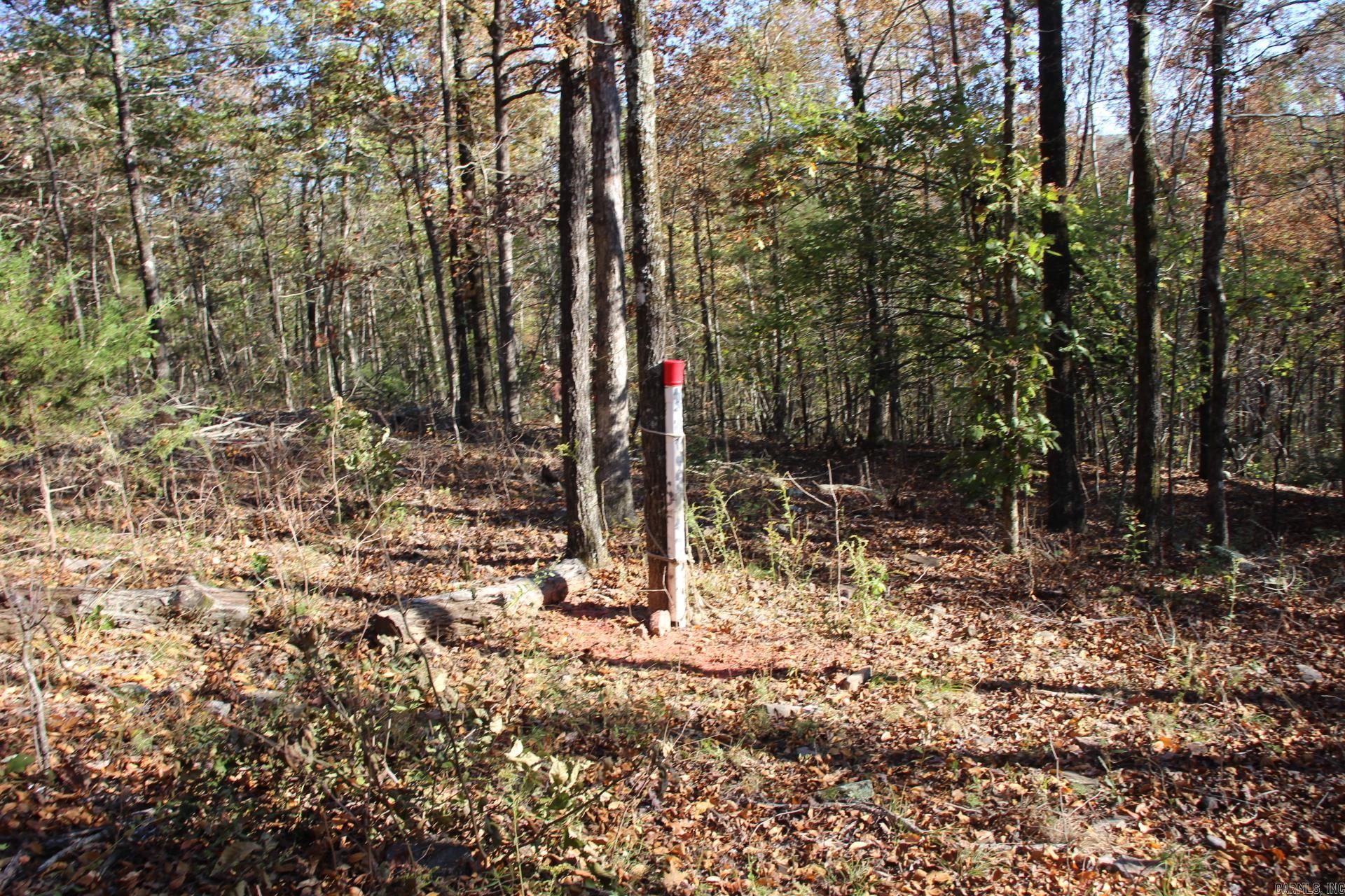 000-13222-000  Dabney  Jerusalem, AR