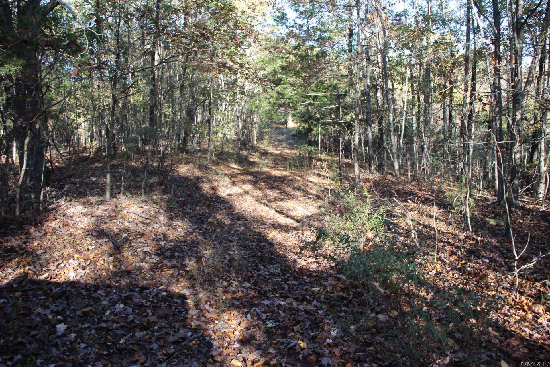 000-13222-000  Dabney  Jerusalem, AR