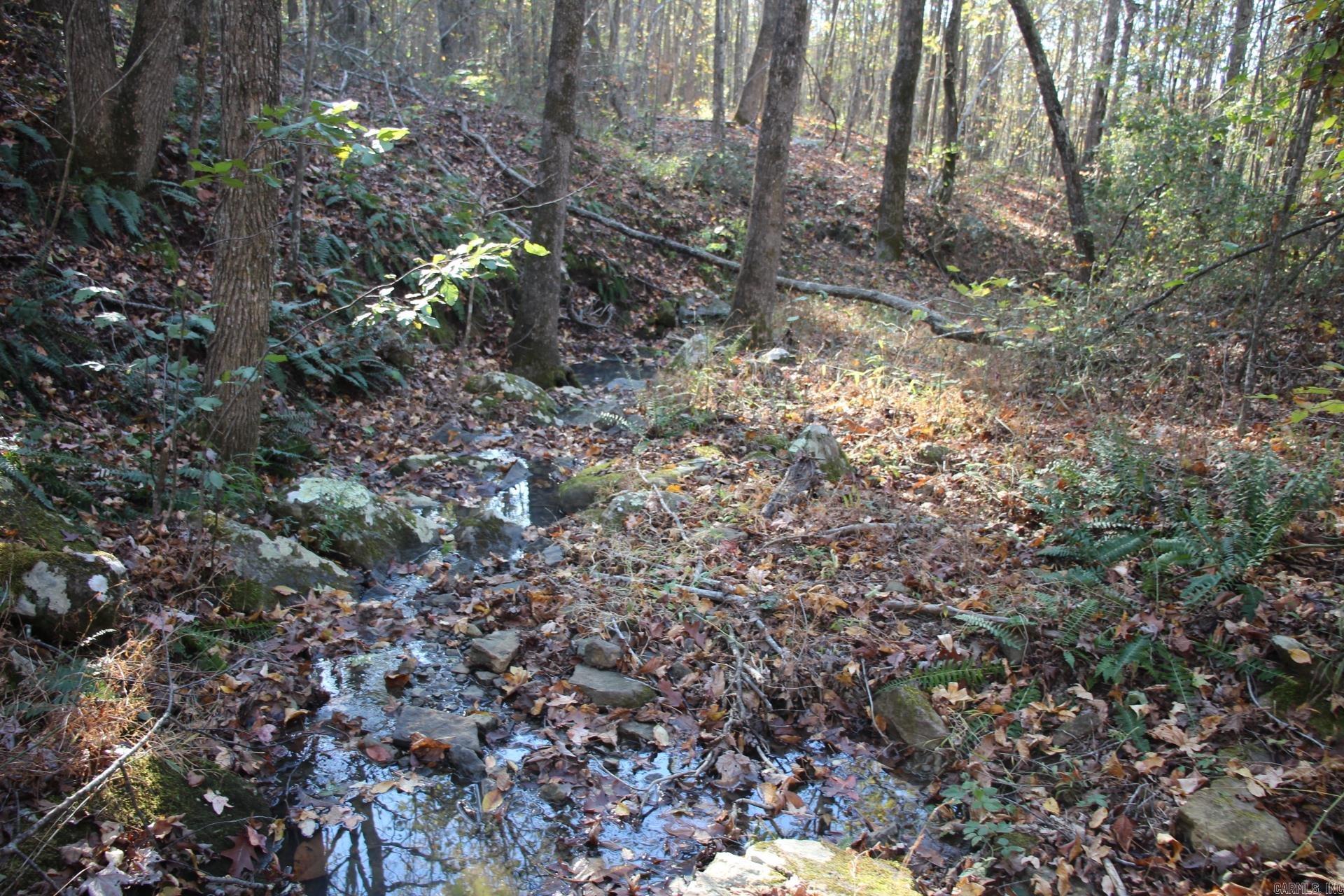 000-13222-000  Dabney  Jerusalem, AR