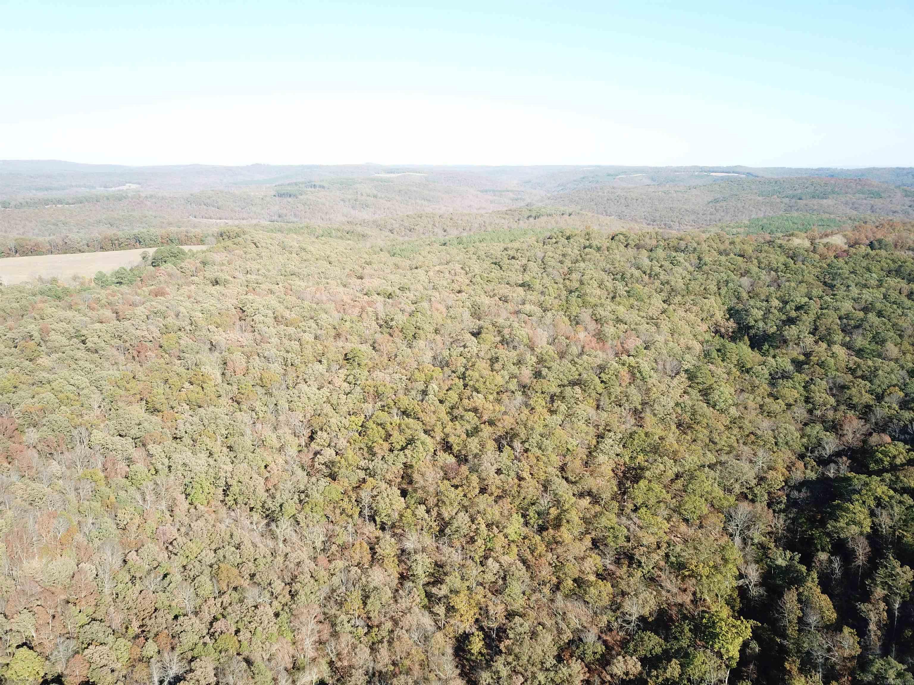 000-13222-000  Dabney  Jerusalem, AR