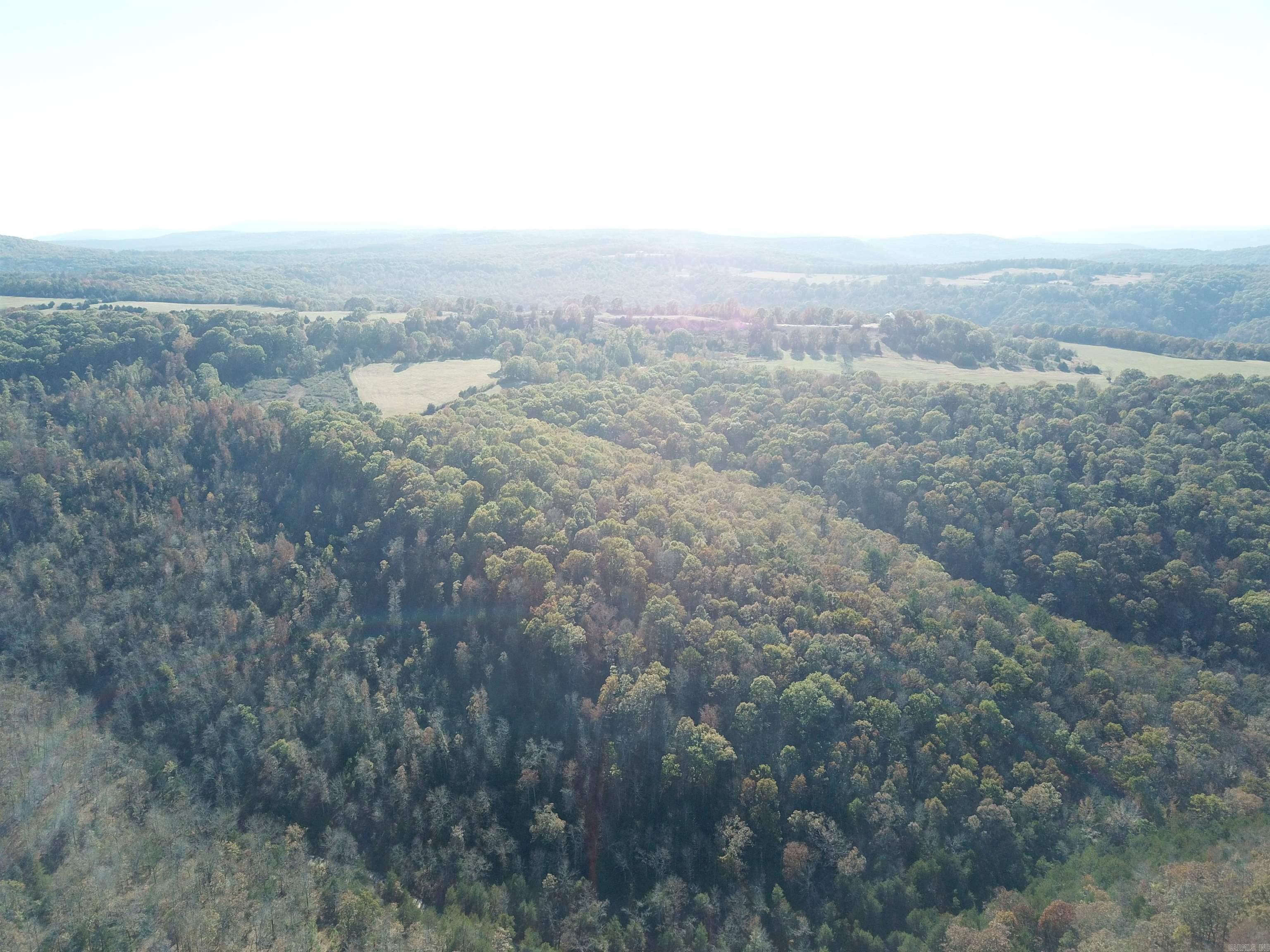 000-13222-000  Dabney  Jerusalem, AR